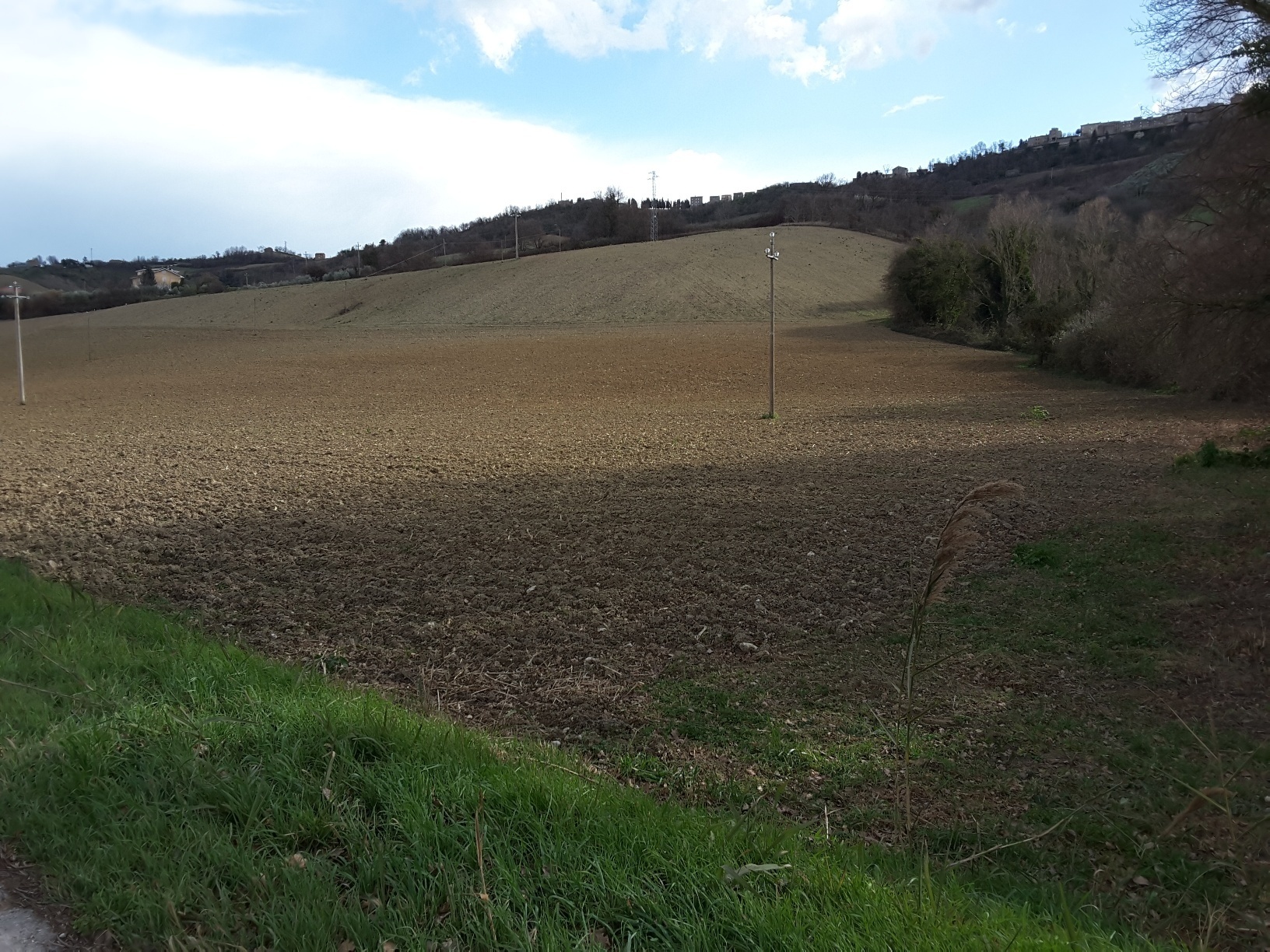 Terreno Agricolo in vendita a Carassai