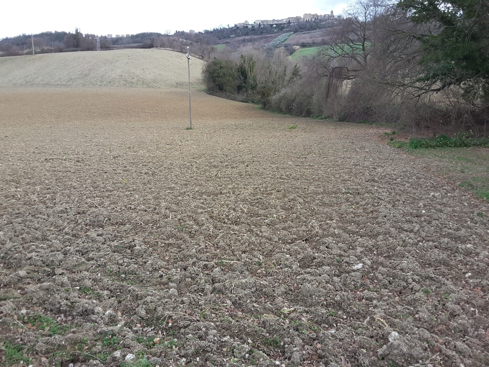 Terreno Agricolo in vendita a Carassai