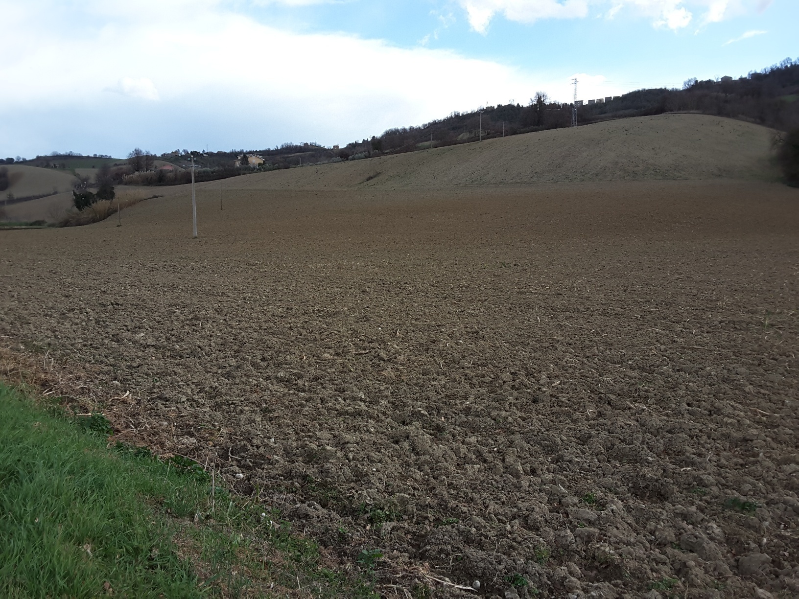 Terreno Agricolo in vendita a Carassai