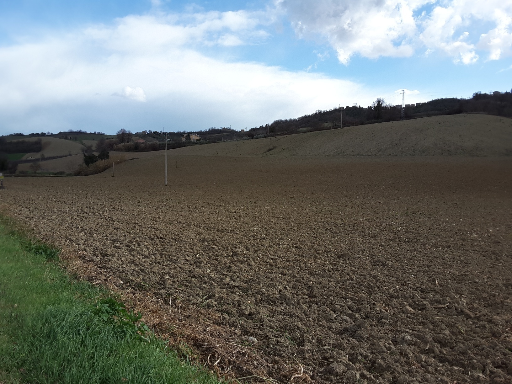 Terreno Agricolo in vendita a Carassai