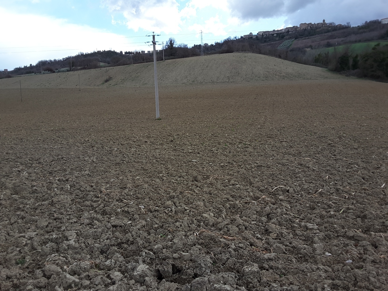 Terreno Agricolo in vendita a Carassai