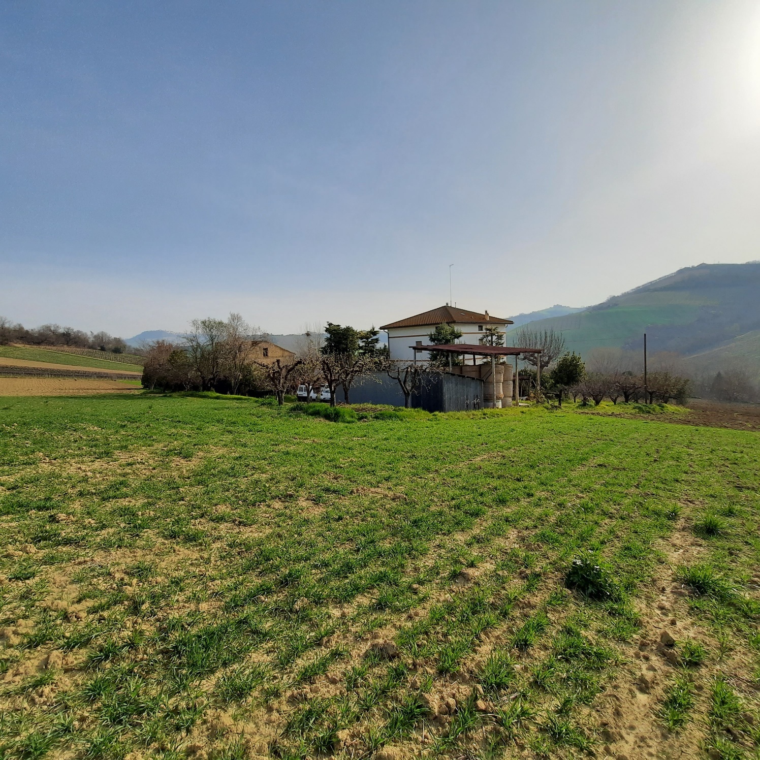 Casa indipendente con giardino a Ripatransone