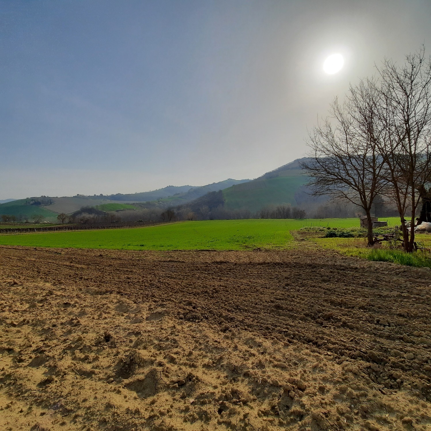 Casa indipendente con giardino a Ripatransone