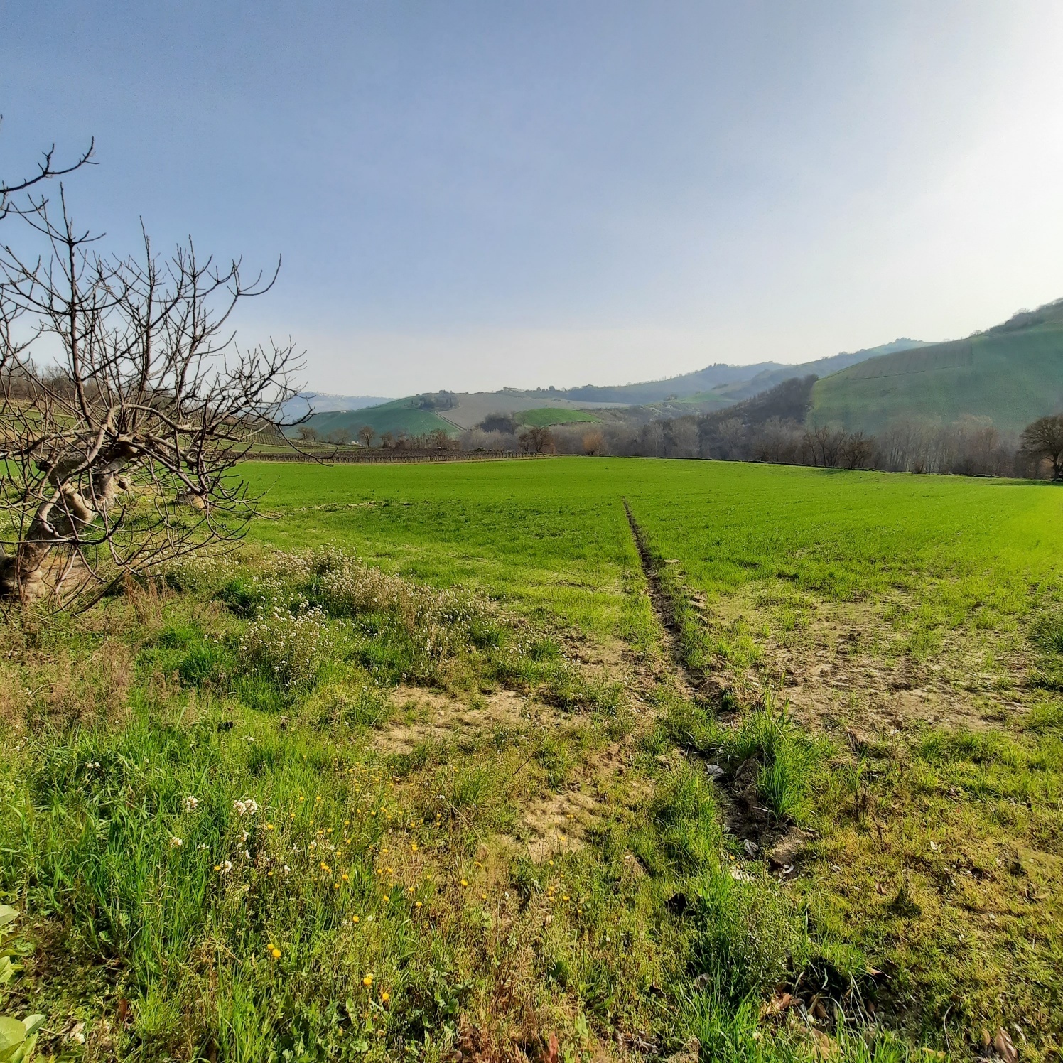Casa indipendente con giardino a Ripatransone