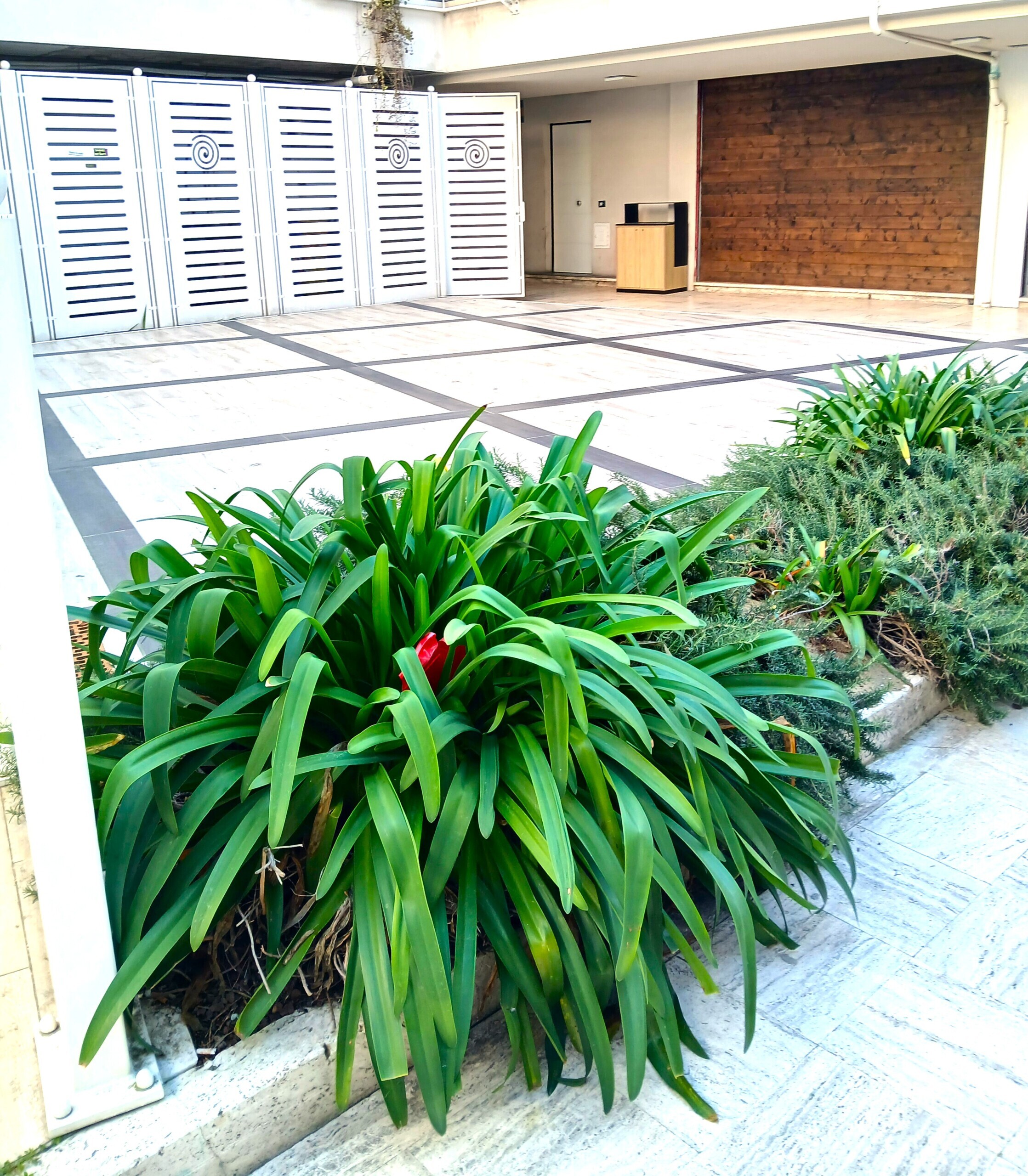 Locale commerciale ristrutturata a San Benedetto del Tronto