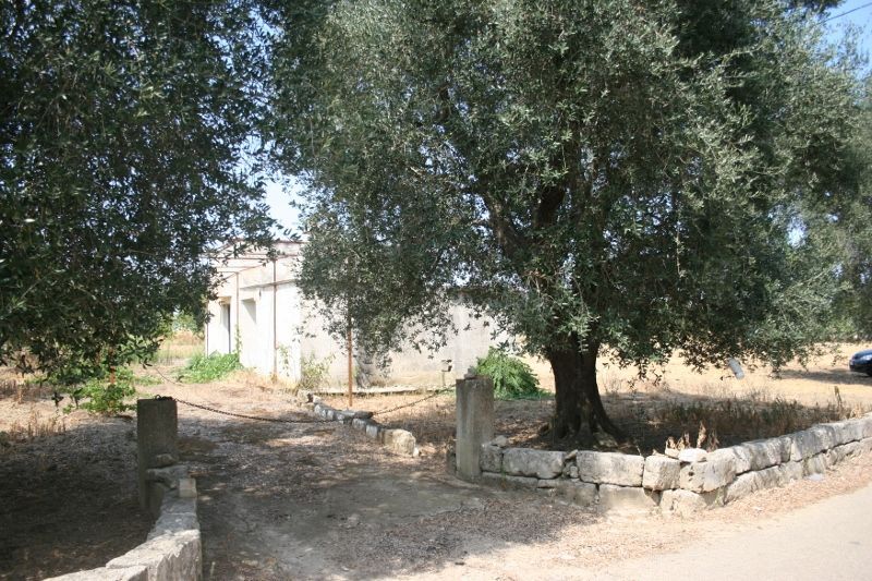 Terreno Agricolo da ristrutturare in contrada mandr�, Cutrofiano