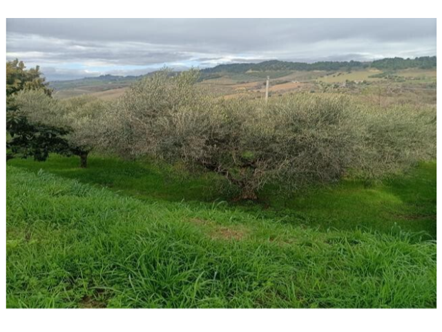 Casa indipendente con giardino a San Benedetto del Tronto