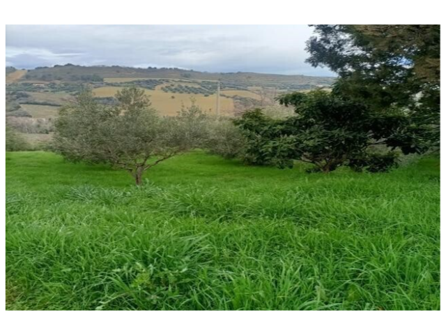 Casa indipendente con giardino a San Benedetto del Tronto