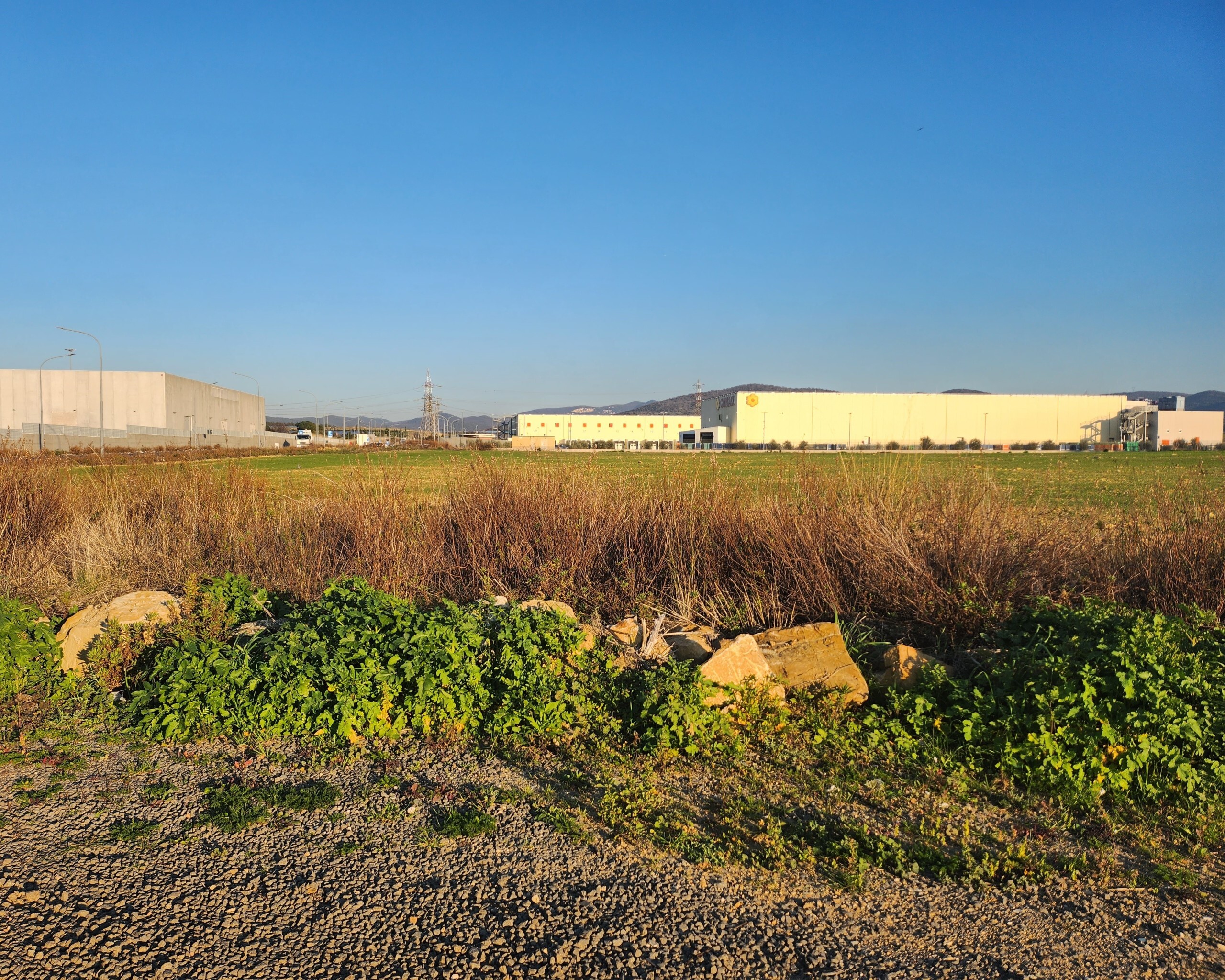Terreno Industriale in vendita a Tarquinia