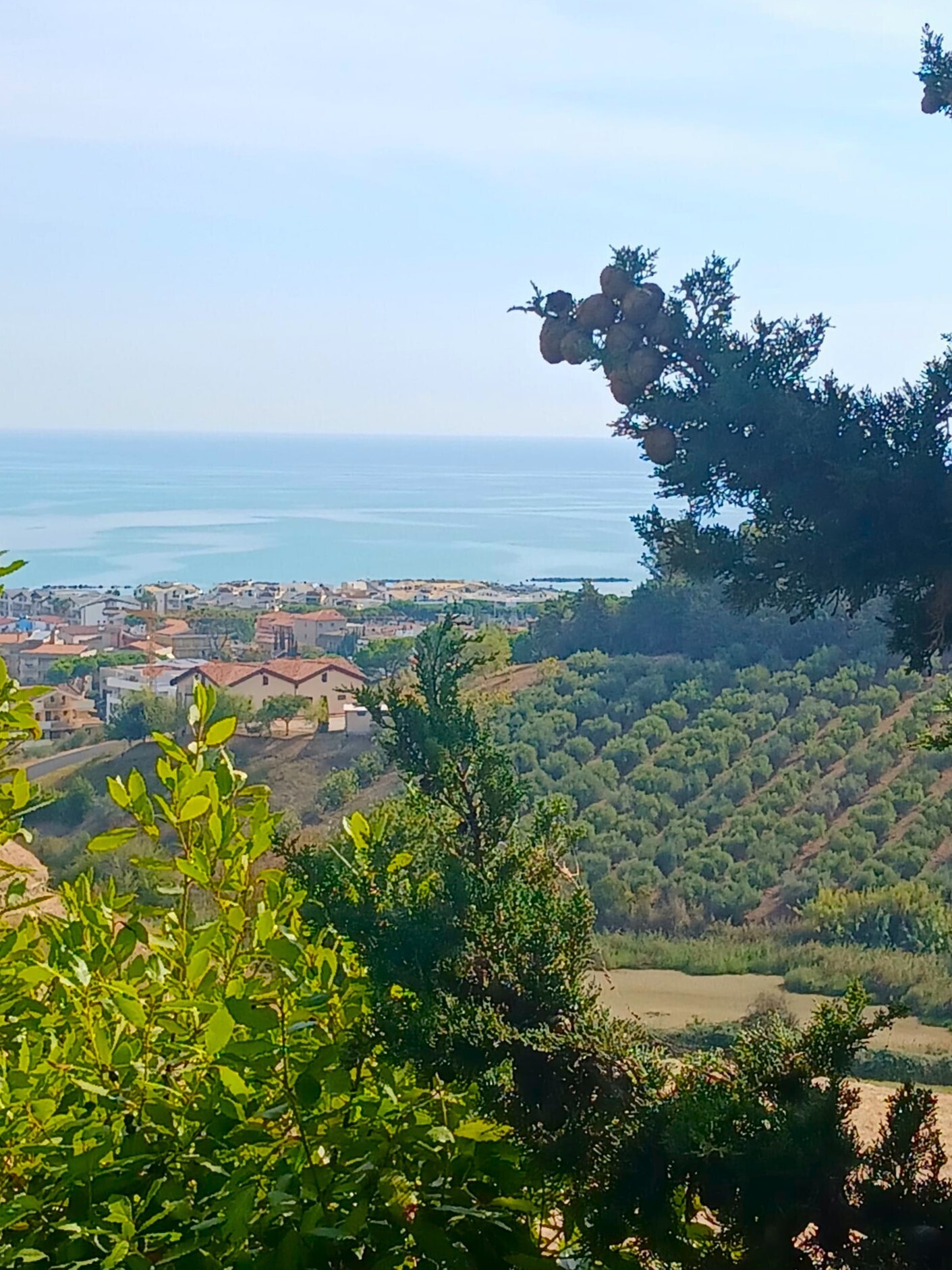 Villa vista mare a Roseto degli Abruzzi