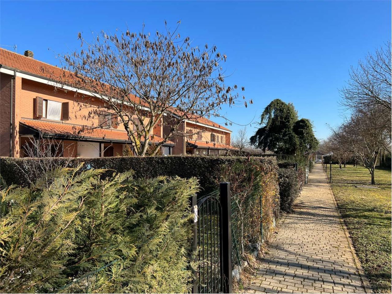 Villette a schiera in affitto a Cambiano