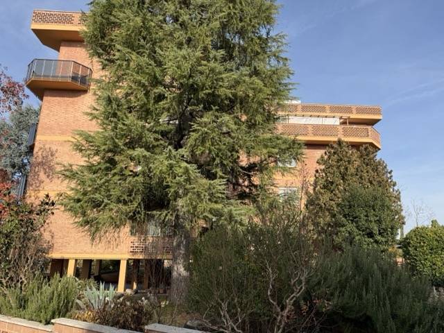 Appartamento in vendita a Chieri