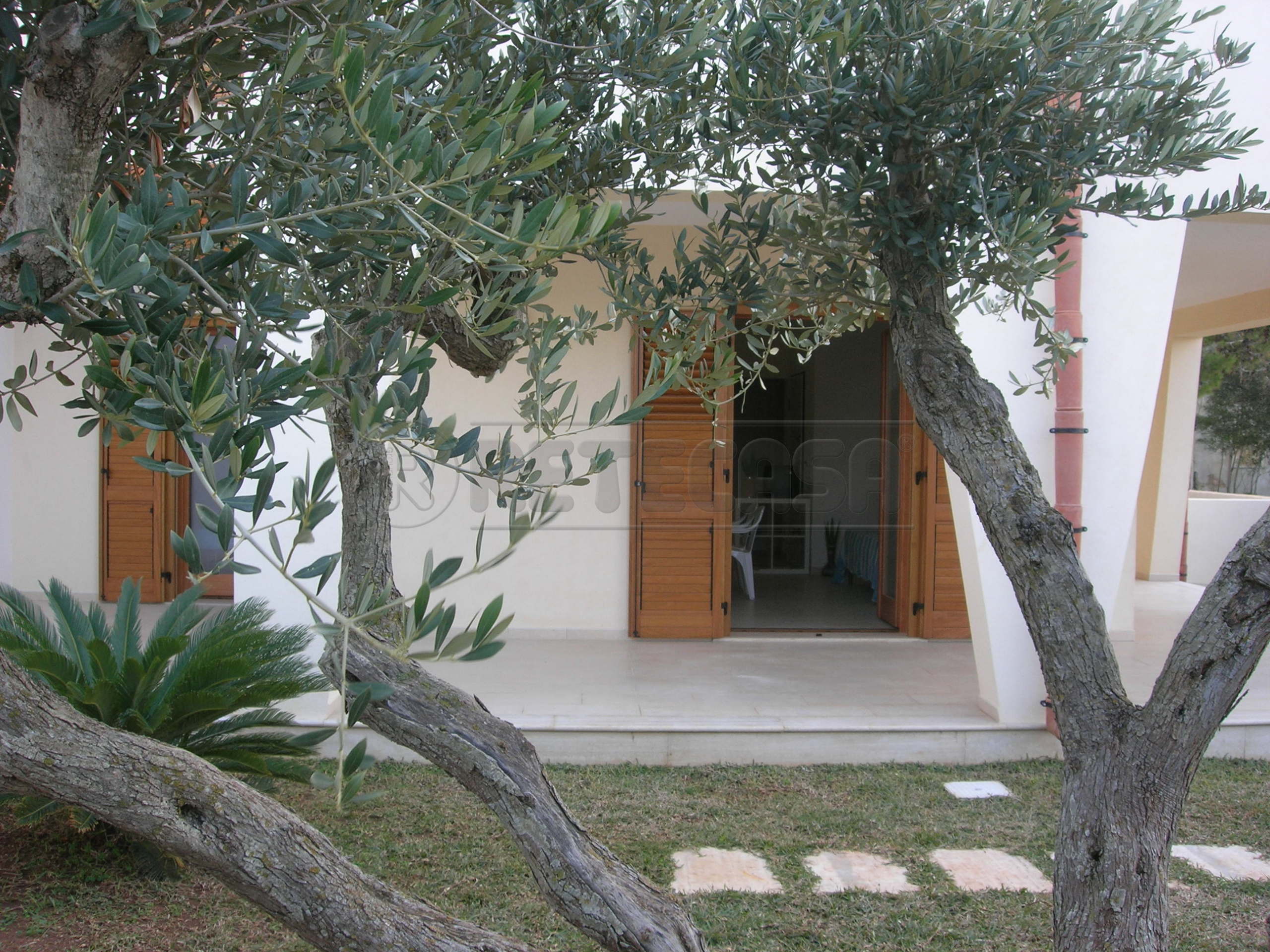 immagine annuncio 3 di 6