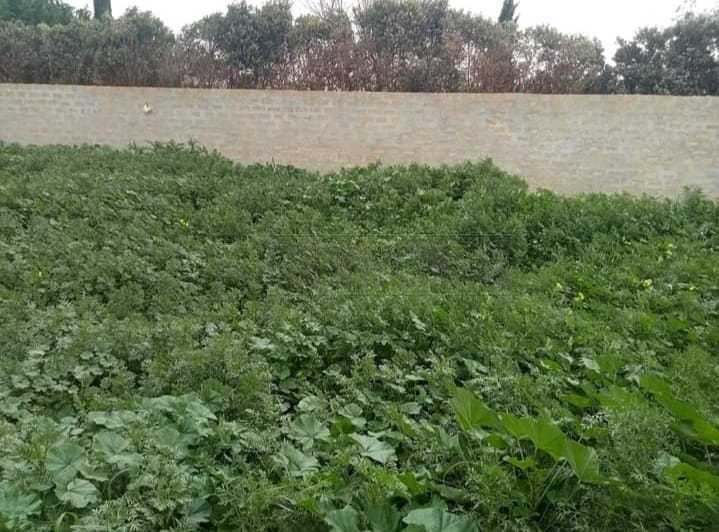 Terreno Agricolo in vendita a Mazara del Vallo