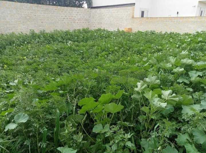 Terreno Agricolo in vendita a Mazara del Vallo