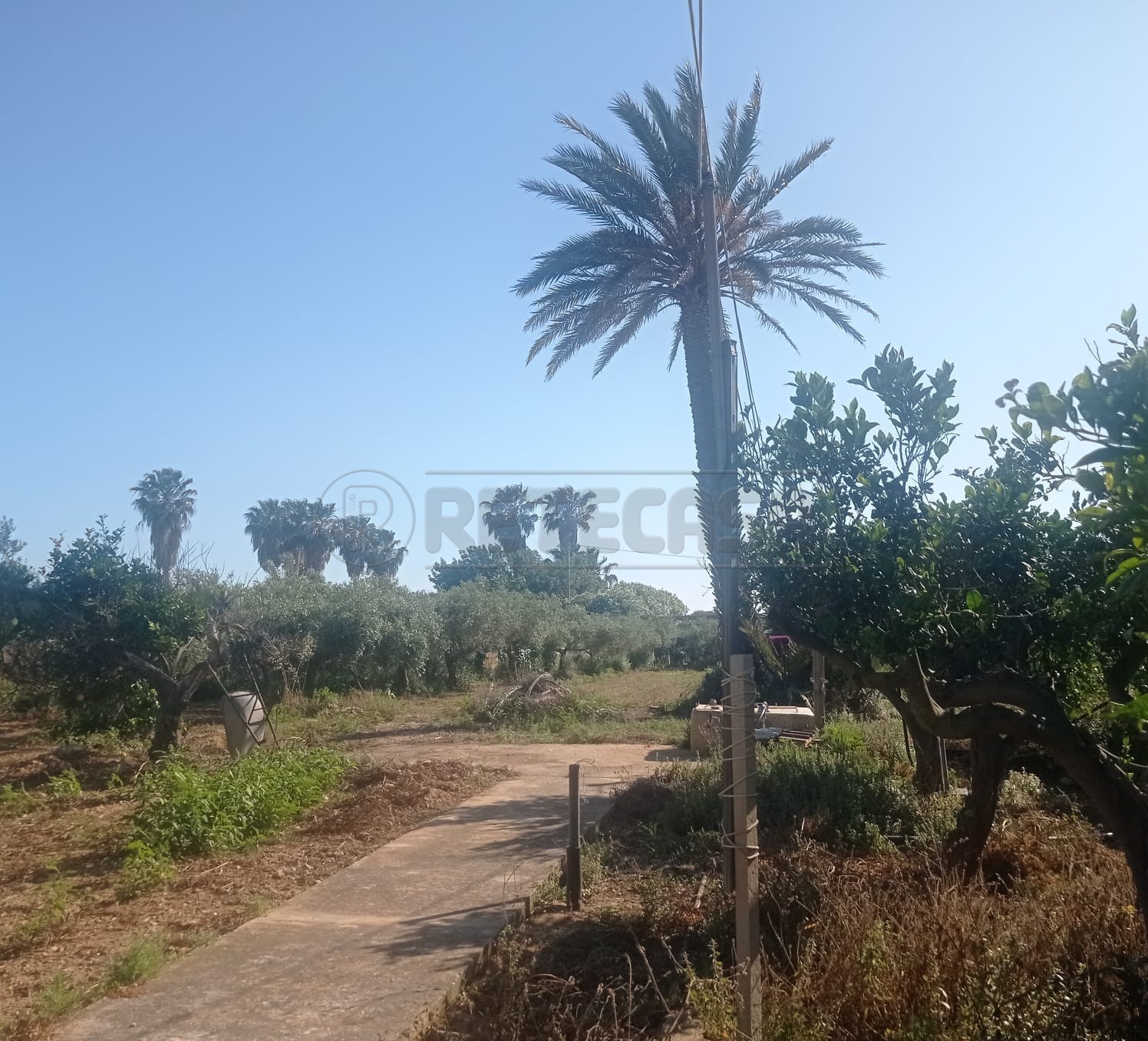 Villetta a schiera in vendita a Marsala