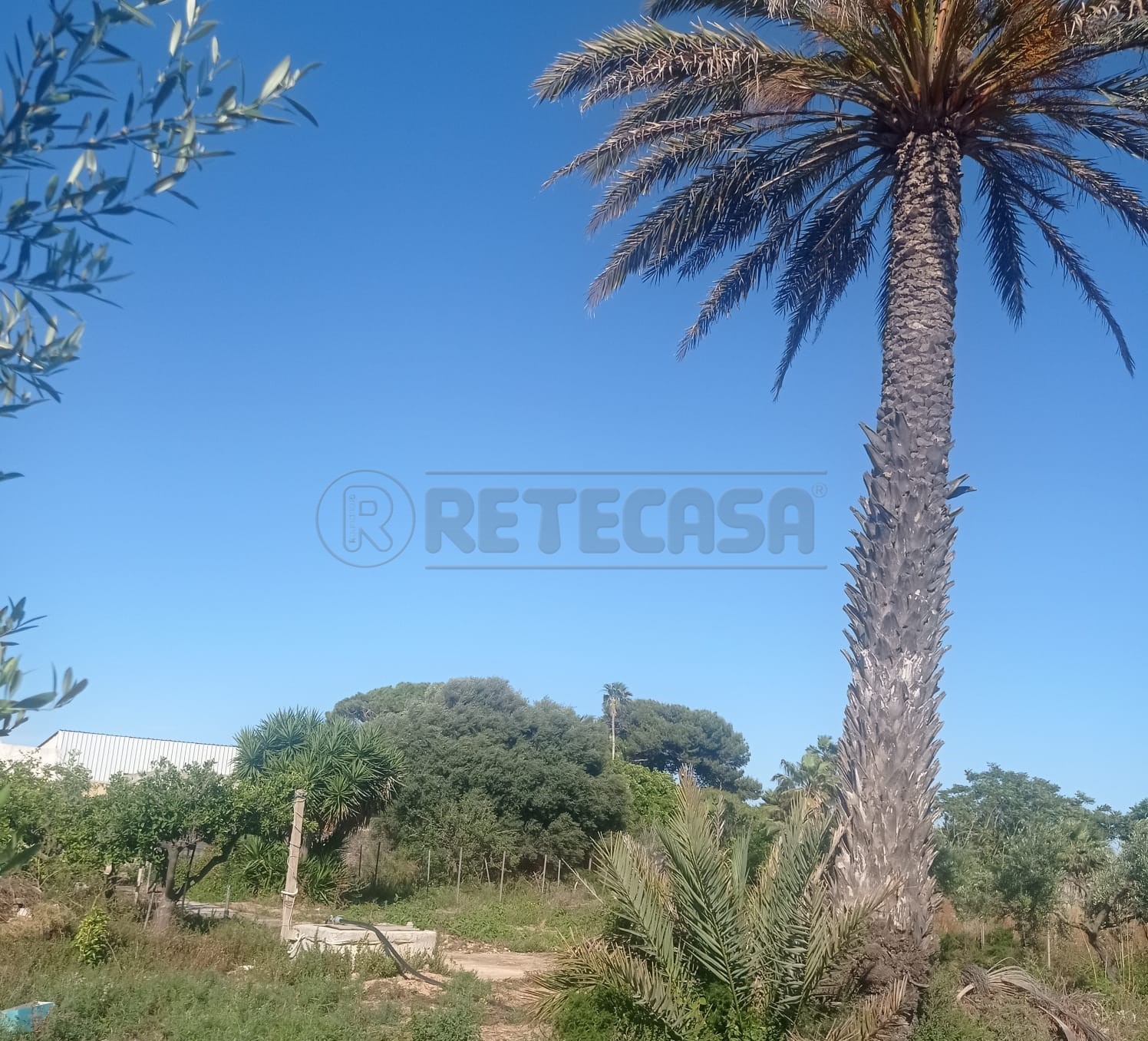 Villetta a schiera in vendita a Marsala