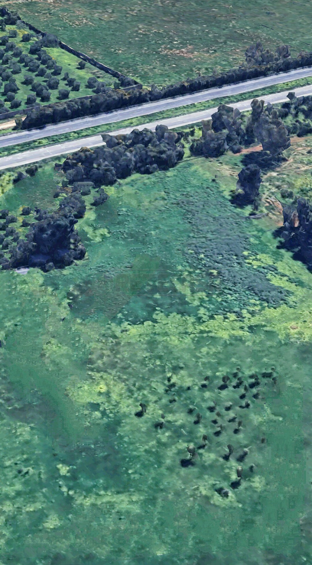 Terreno Agricolo in vendita a Castelvetrano