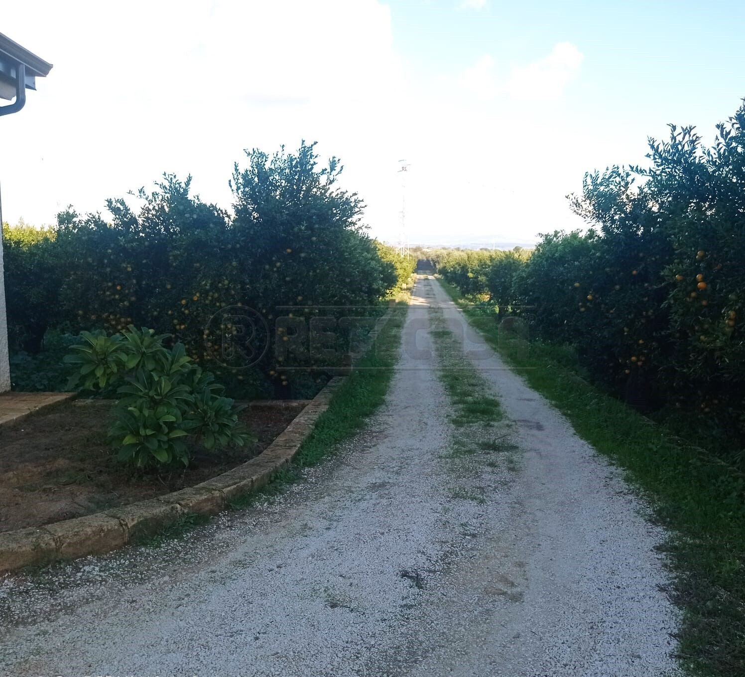 immagine annuncio 1 di 6