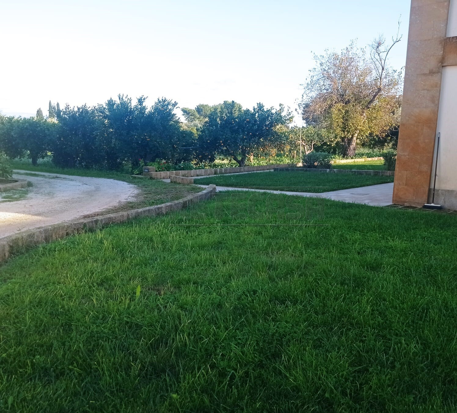 immagine annuncio 3 di 6