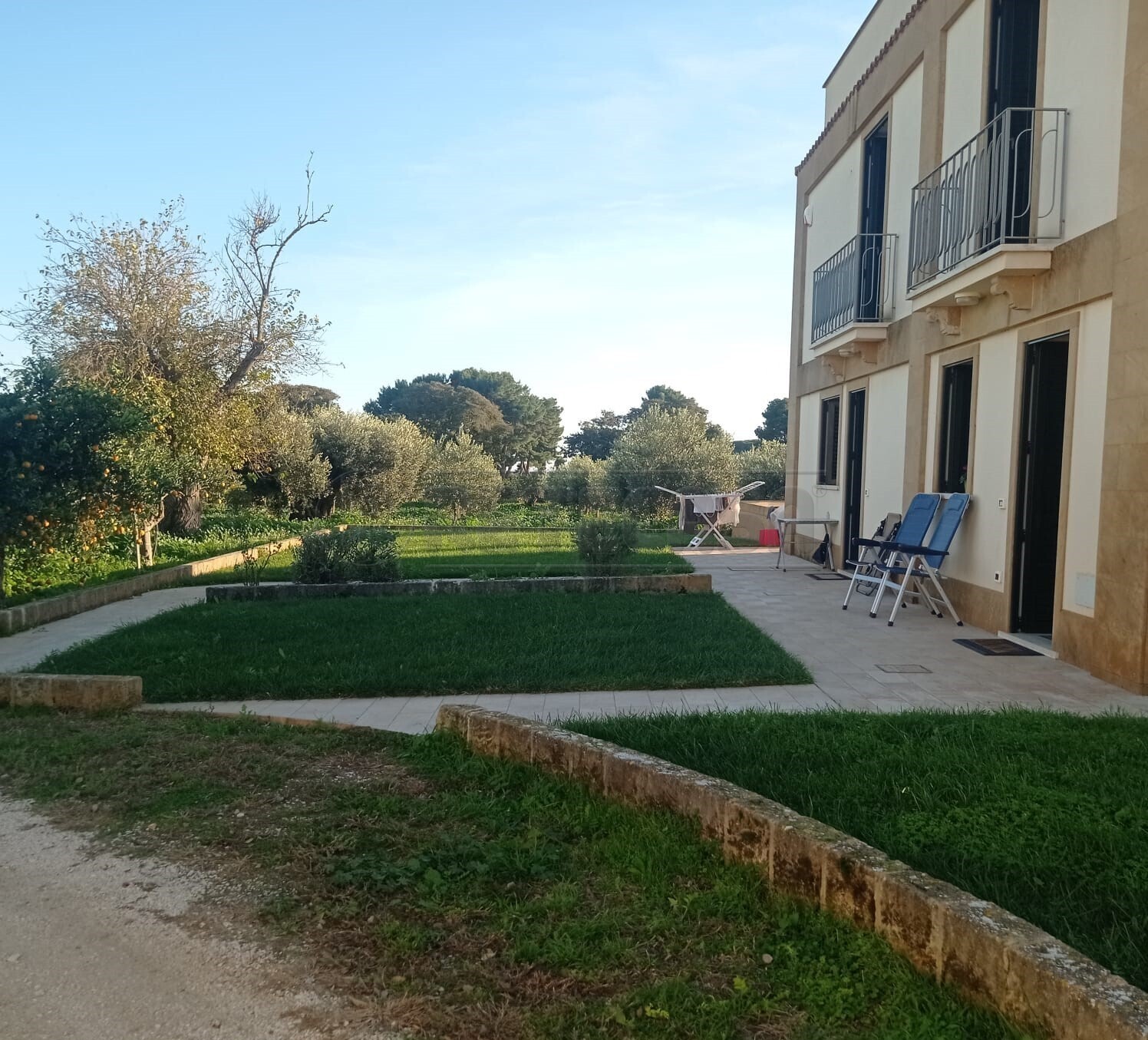 immagine annuncio 4 di 6