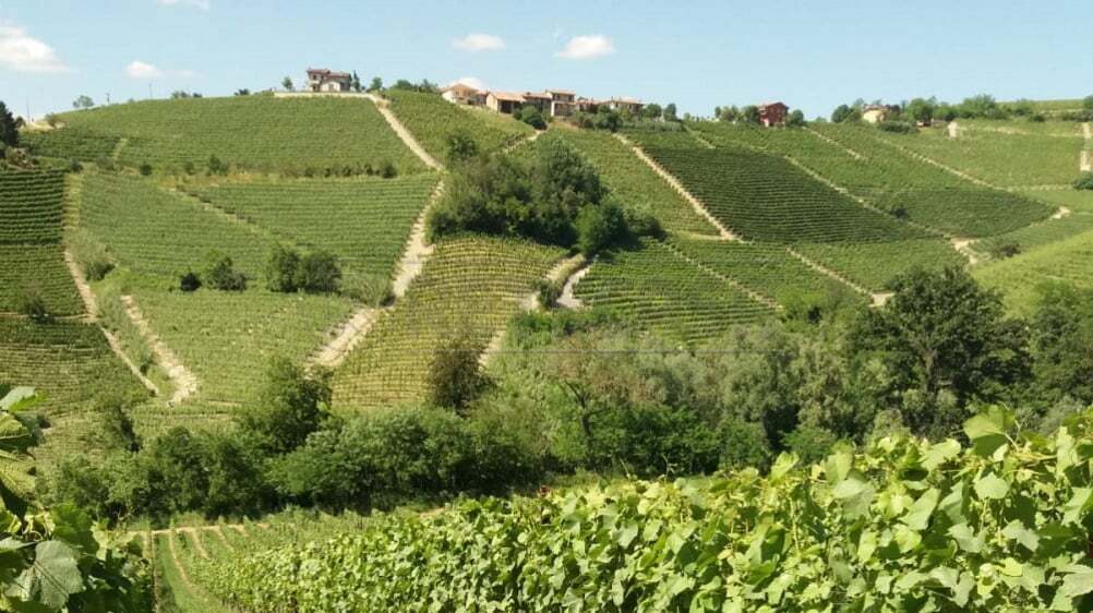 Terreno Agricolo in vendita a Castelvetrano