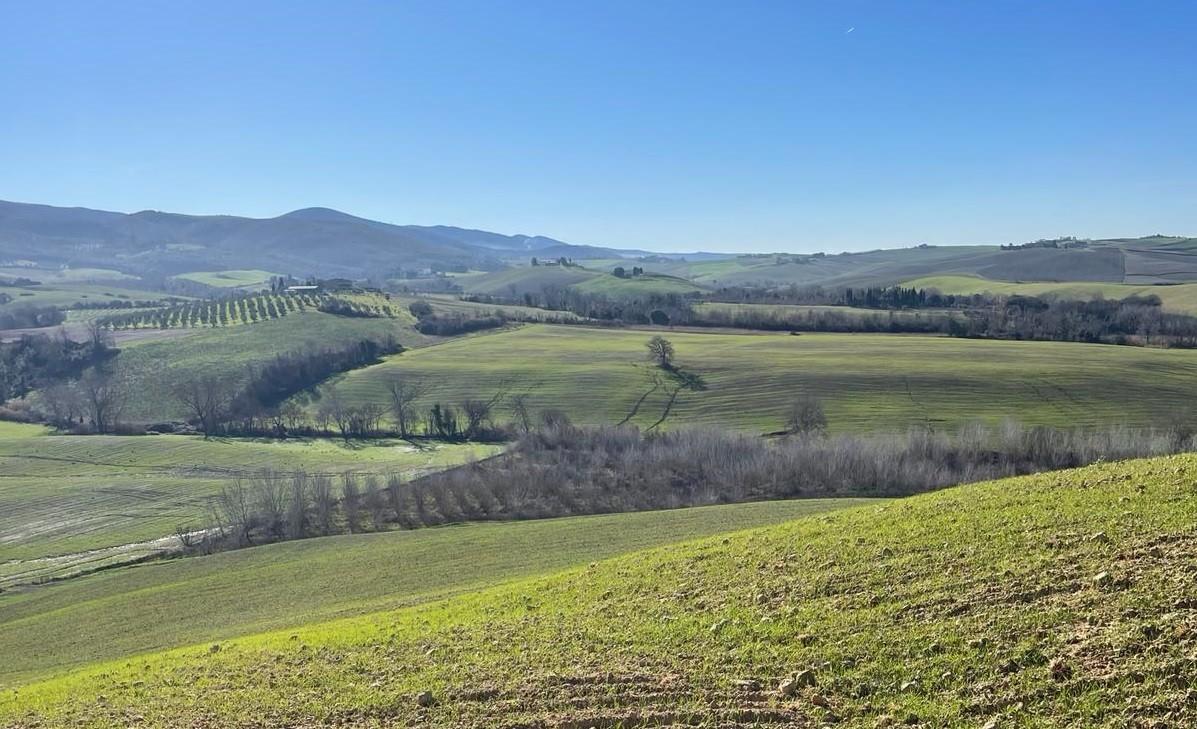 Rustico in vendita a Lajatico