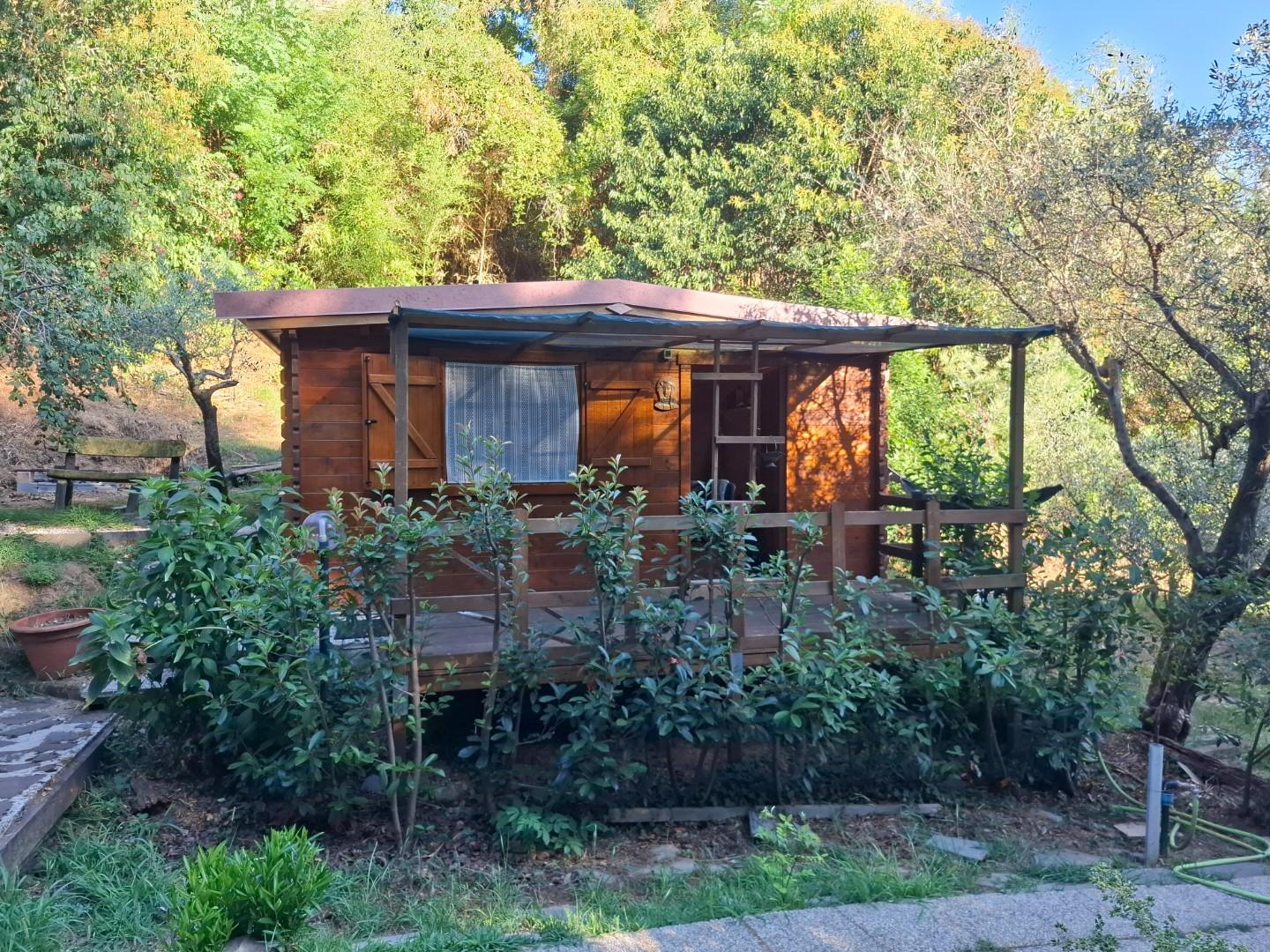 Terreno Agricolo in vendita, Vezzano Ligure termo
