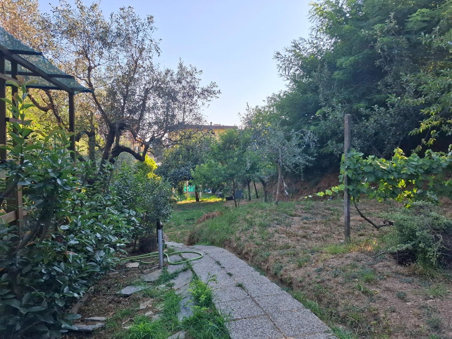 Terreno Agricolo in vendita, Vezzano Ligure termo