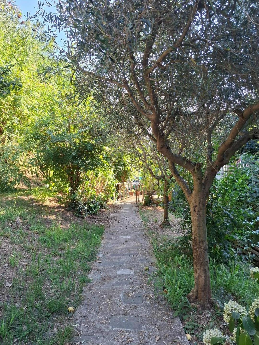 Terreno Agricolo in vendita, Vezzano Ligure termo