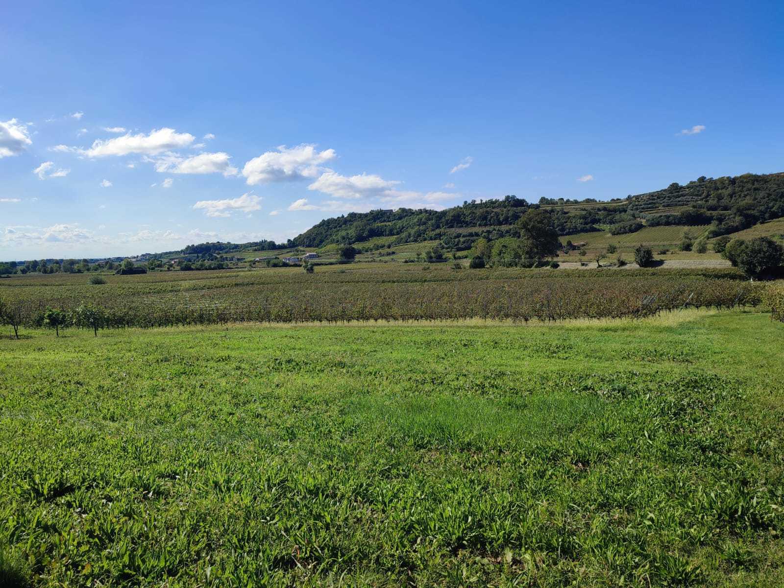 Terreno Edificabile in vendita in contrada selva 52, Montebello Vicentino