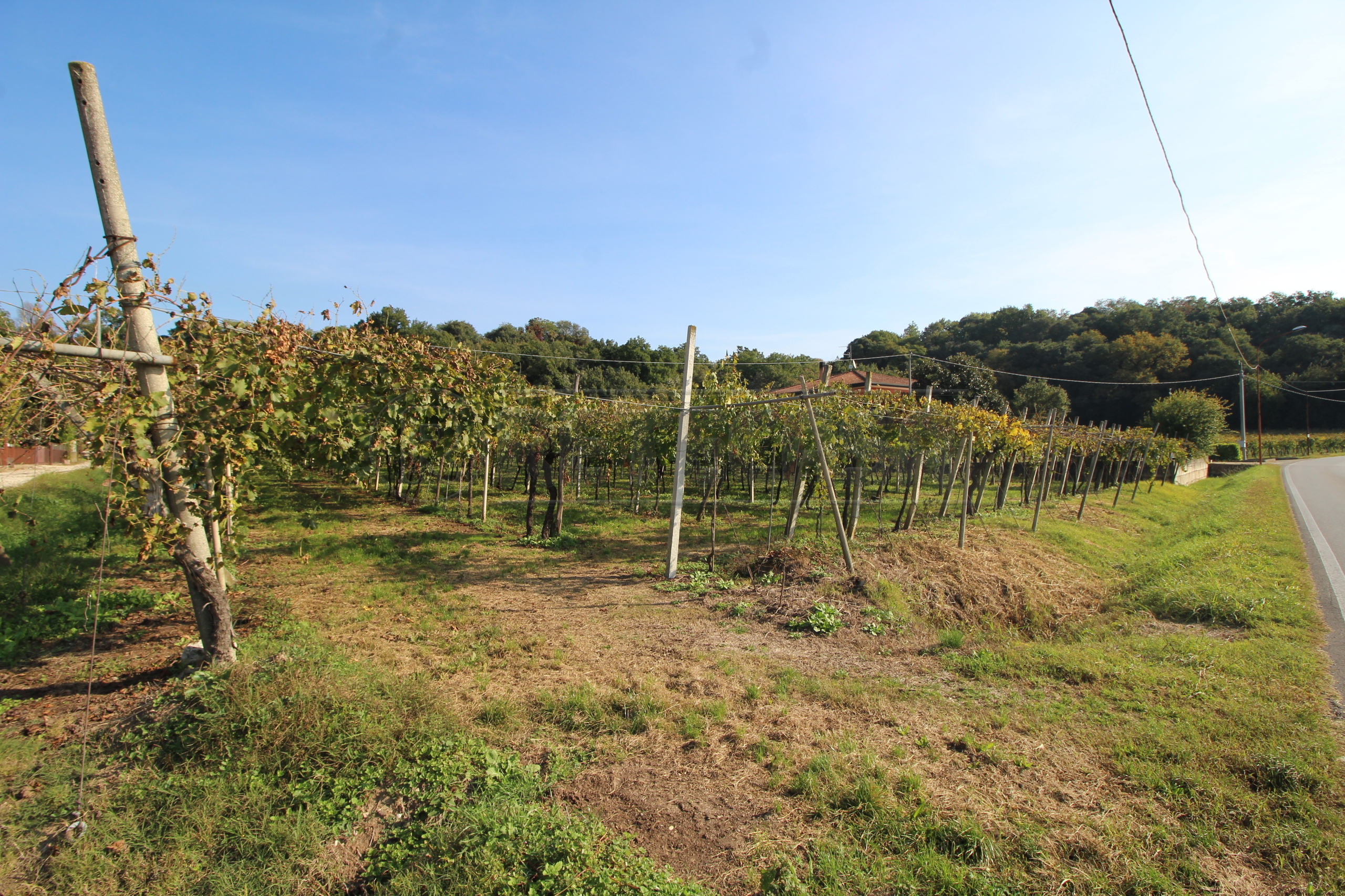 Terreno Edificabile in vendita in via calderina 8, Gambellara