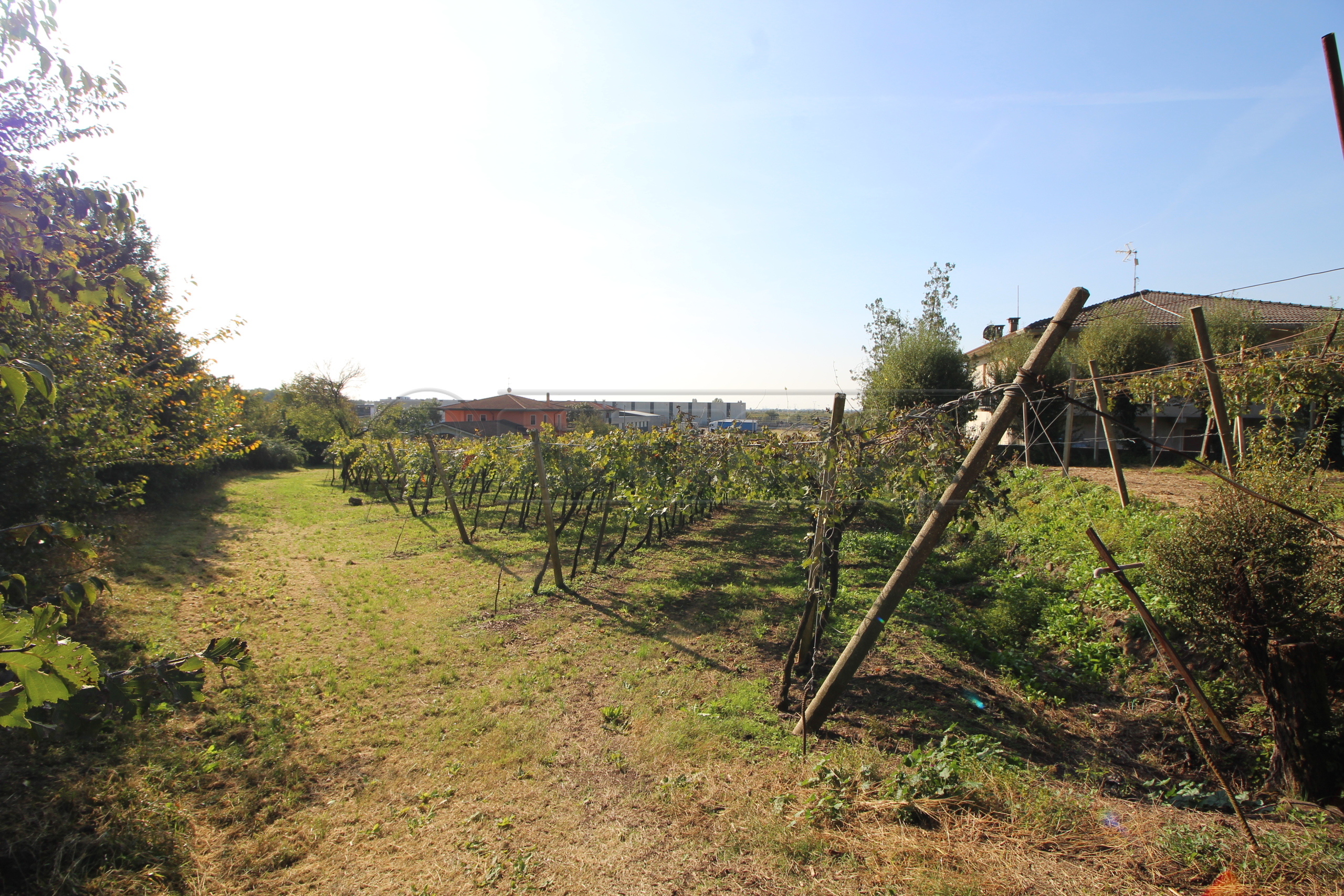 Terreno Edificabile in vendita in via calderina 8, Gambellara