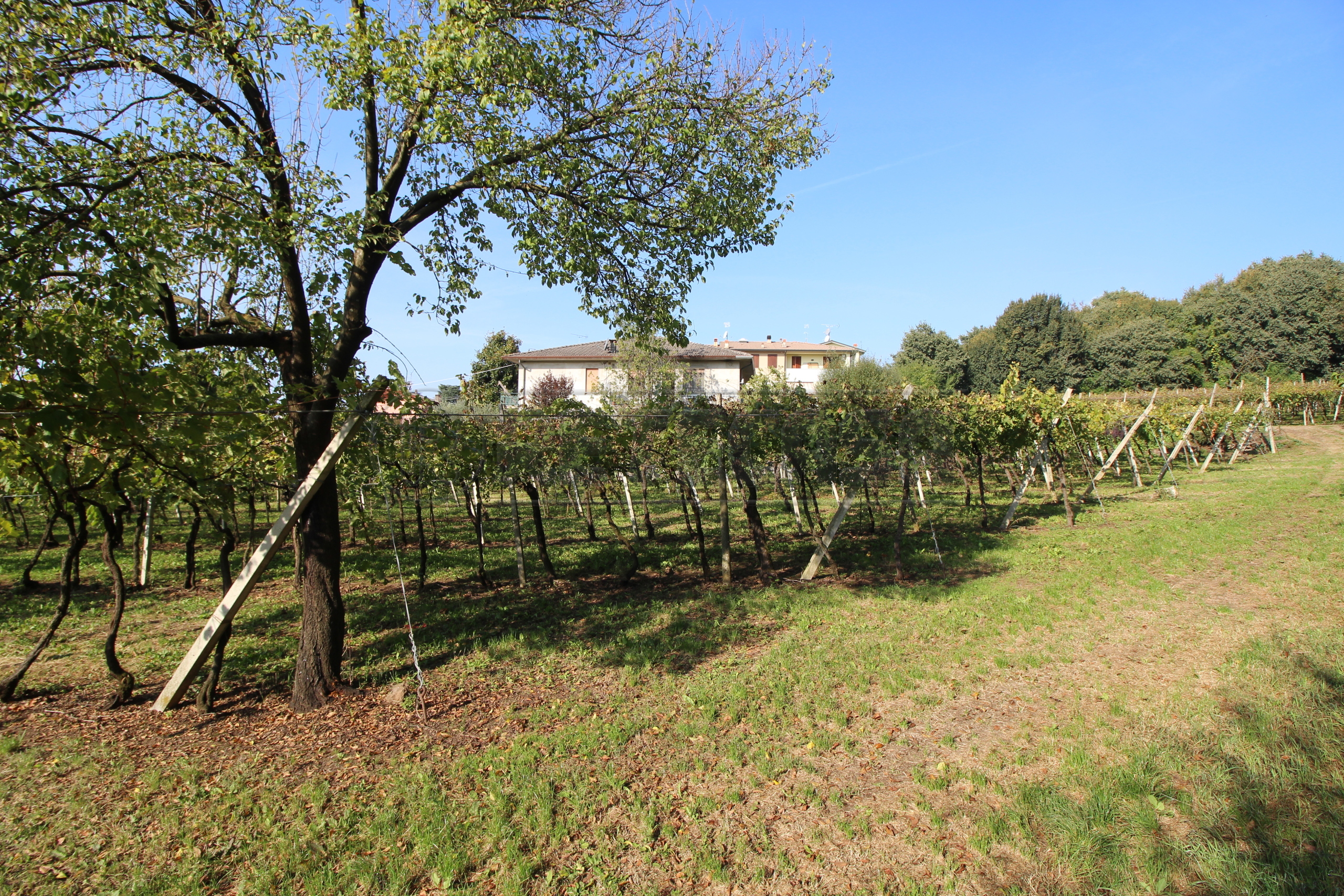 Terreno Edificabile in vendita in via calderina 8, Gambellara