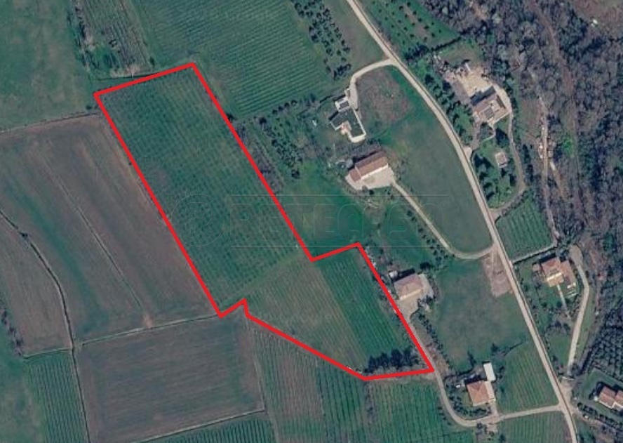 Terreno Agricolo in vendita in localit� campagnola, Montebello Vicentino