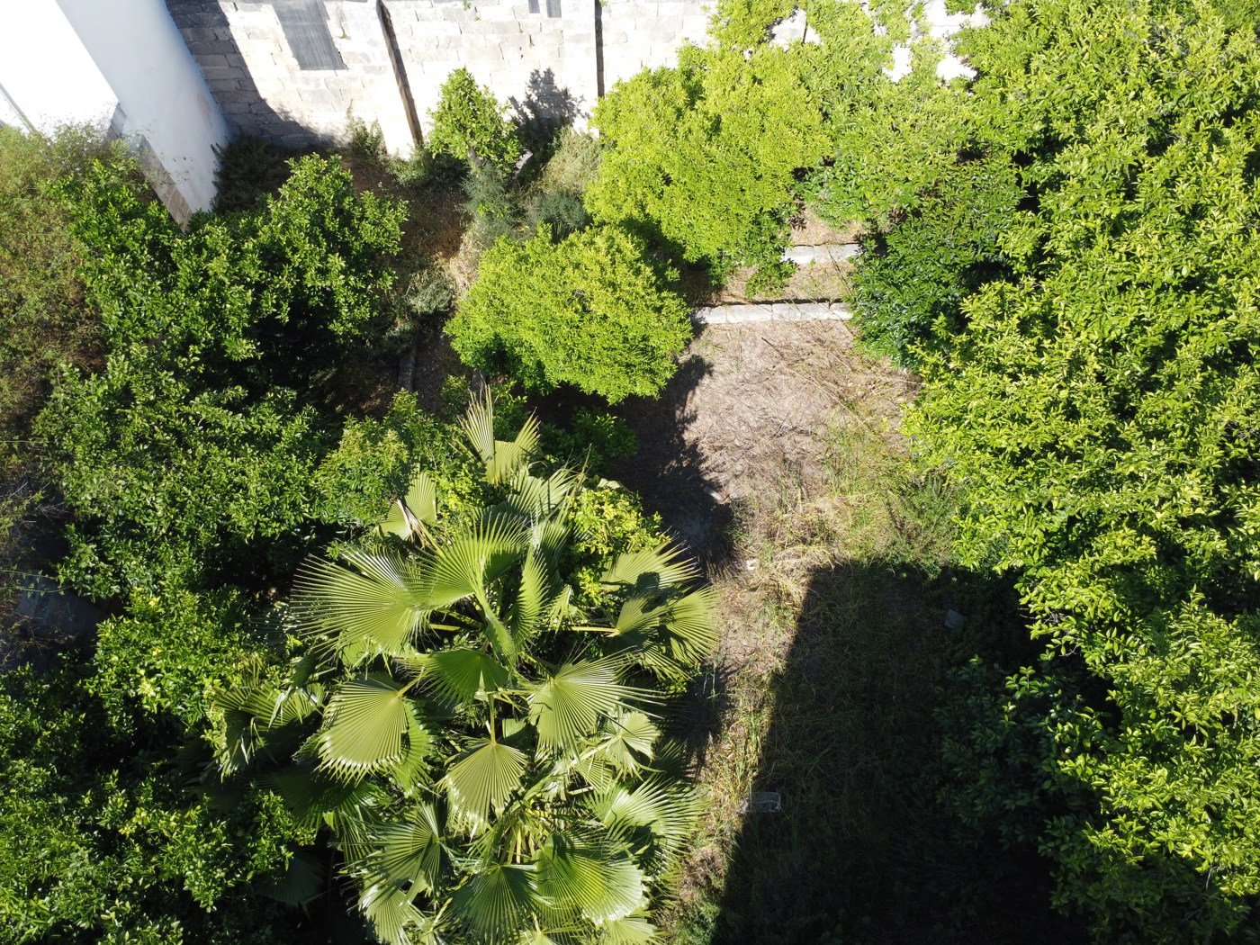 Appartamento in vendita a Nard�