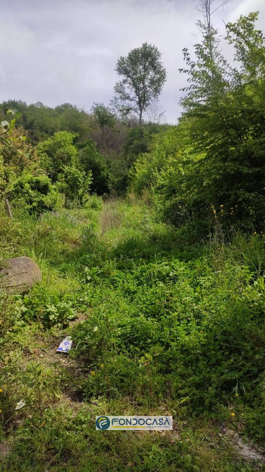 Terreno Agricolo in affitto a Salerno, TORRIONE