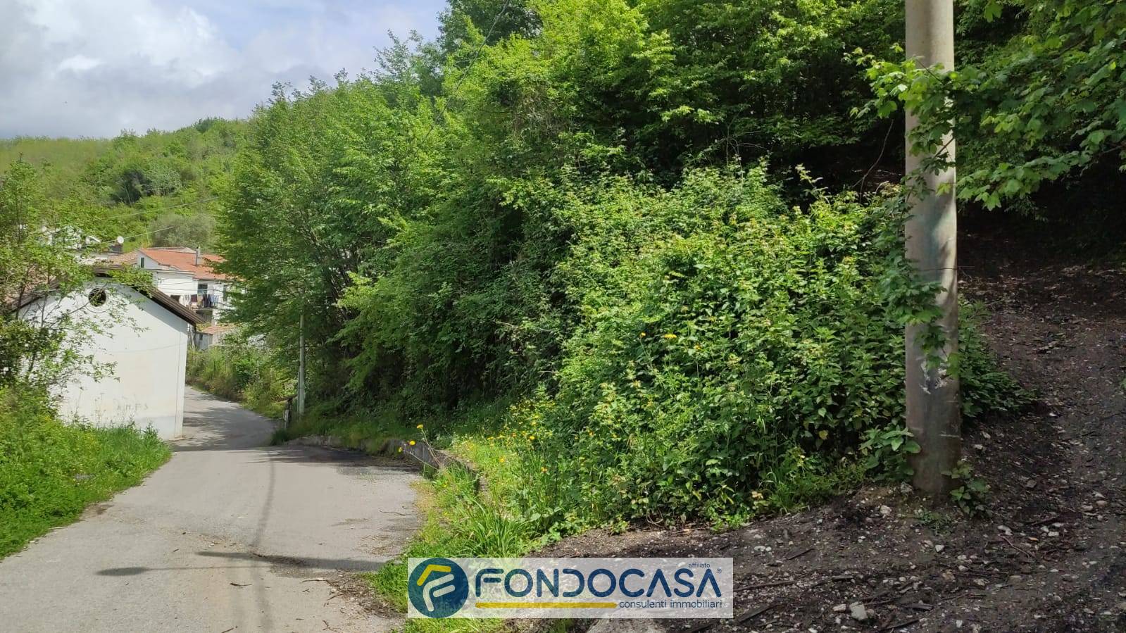 Terreno Agricolo in affitto a Salerno, TORRIONE