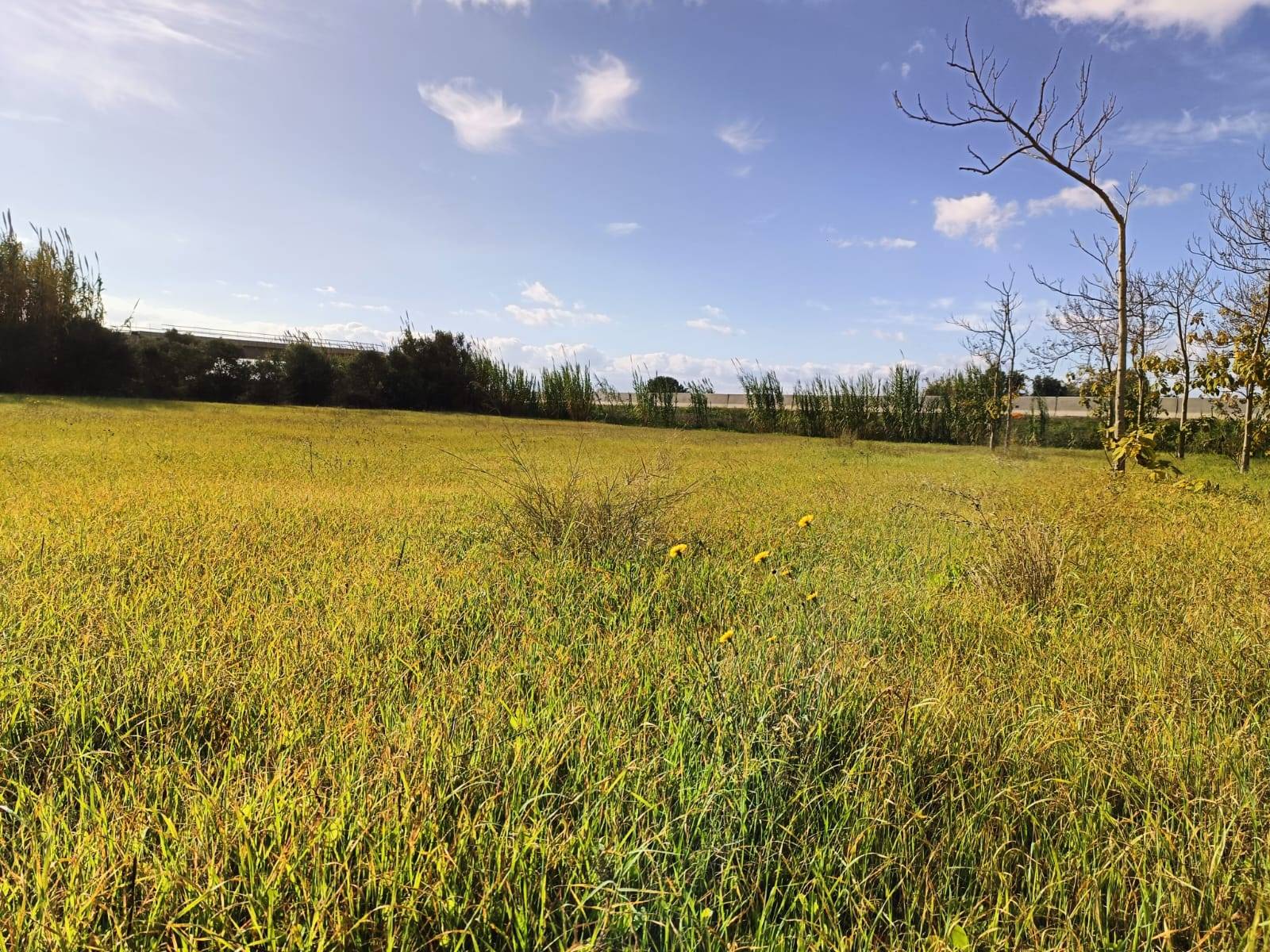 Casa singola in vendita a Nuraminis