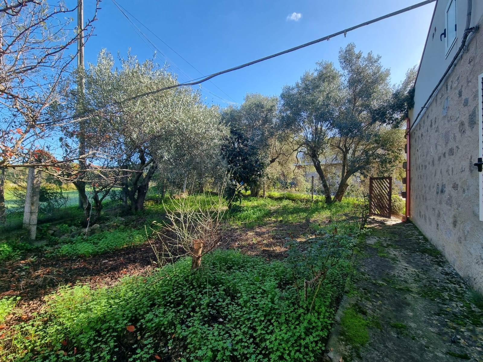 Casa singola in vendita a Nuxis