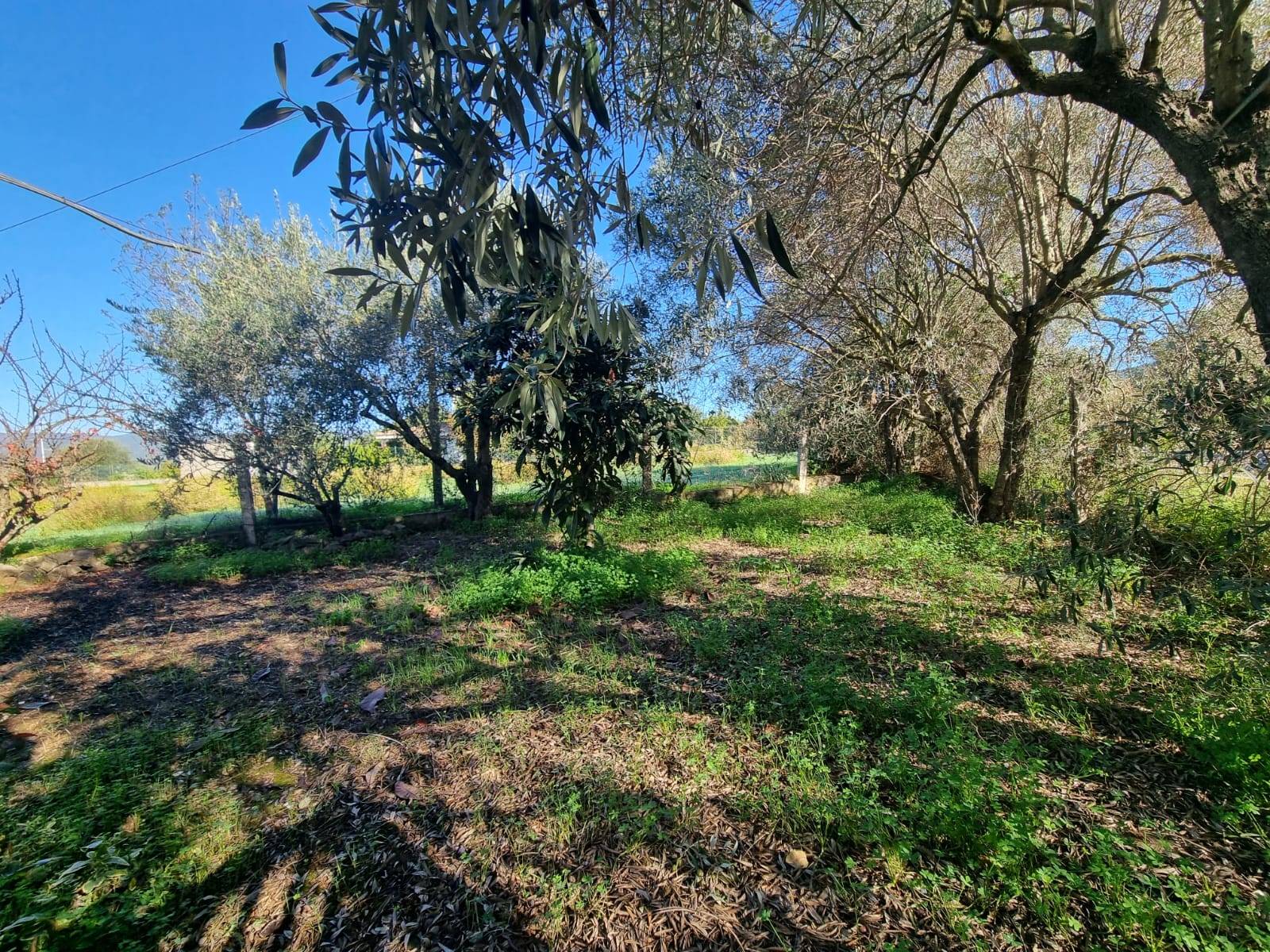 Casa singola in vendita a Nuxis