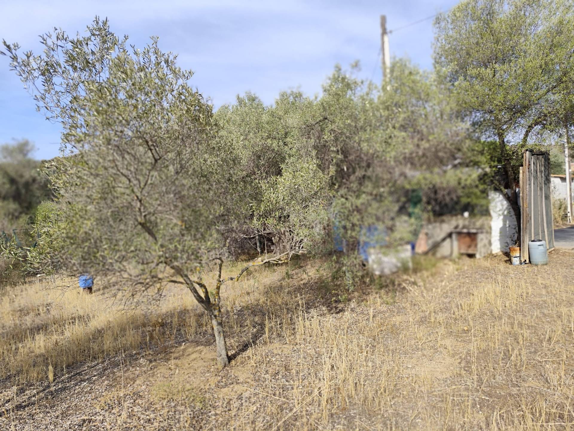 Terreno edificabile in vendita a Monserrato