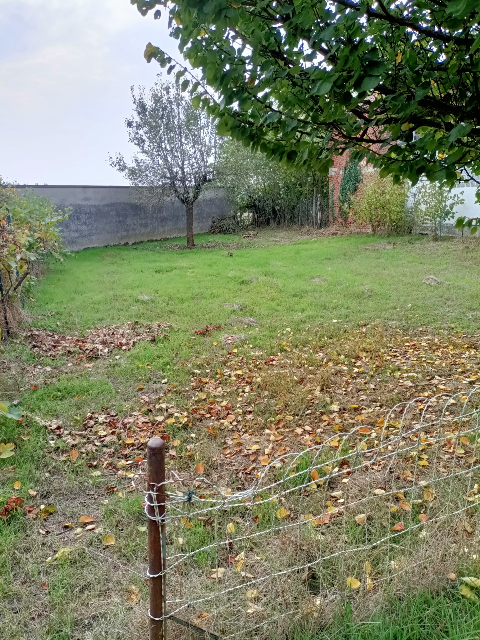 Rustico con giardino in via felice cavallotti, Pieve Porto Morone