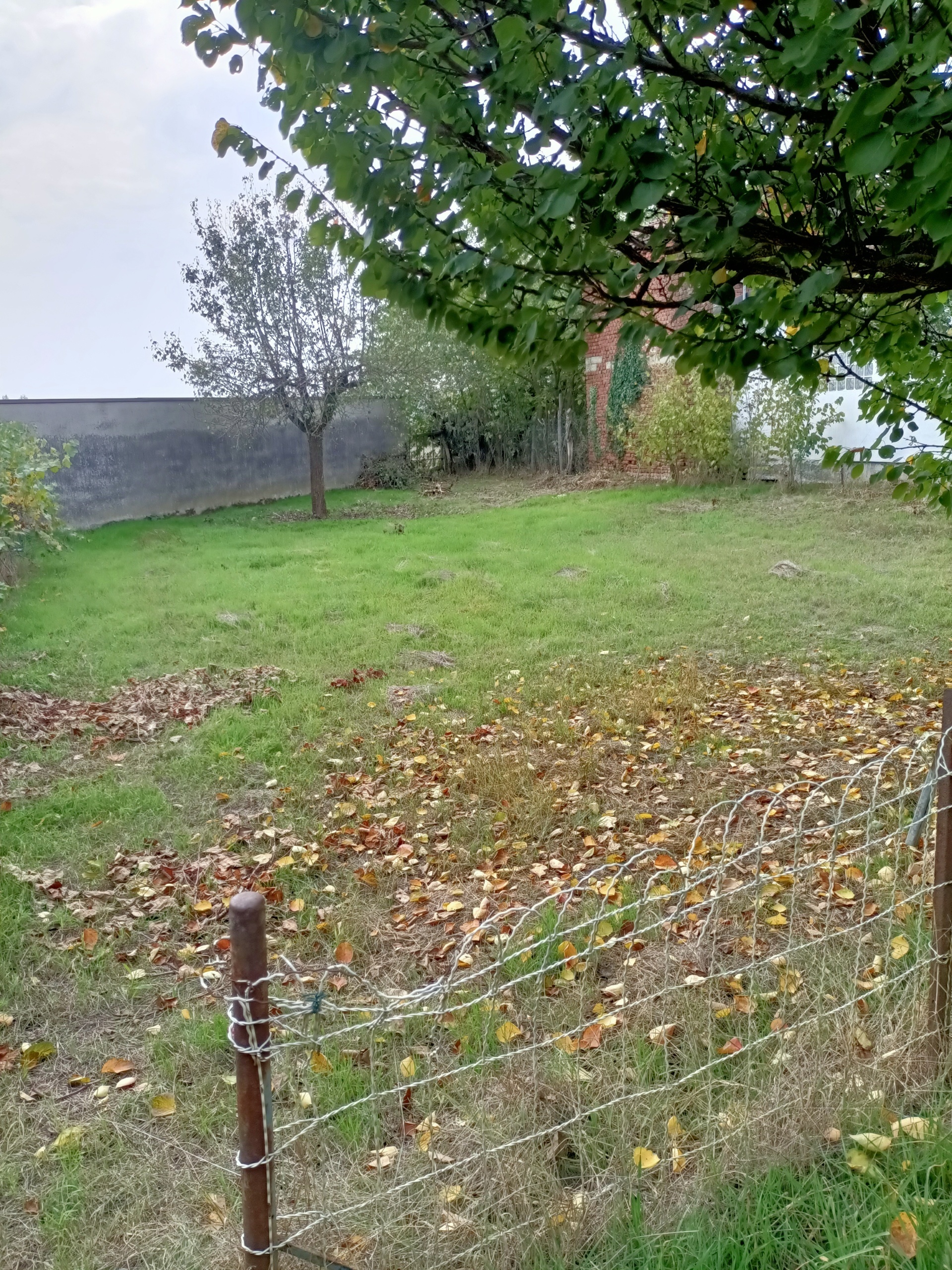 Rustico con giardino in via felice cavallotti, Pieve Porto Morone