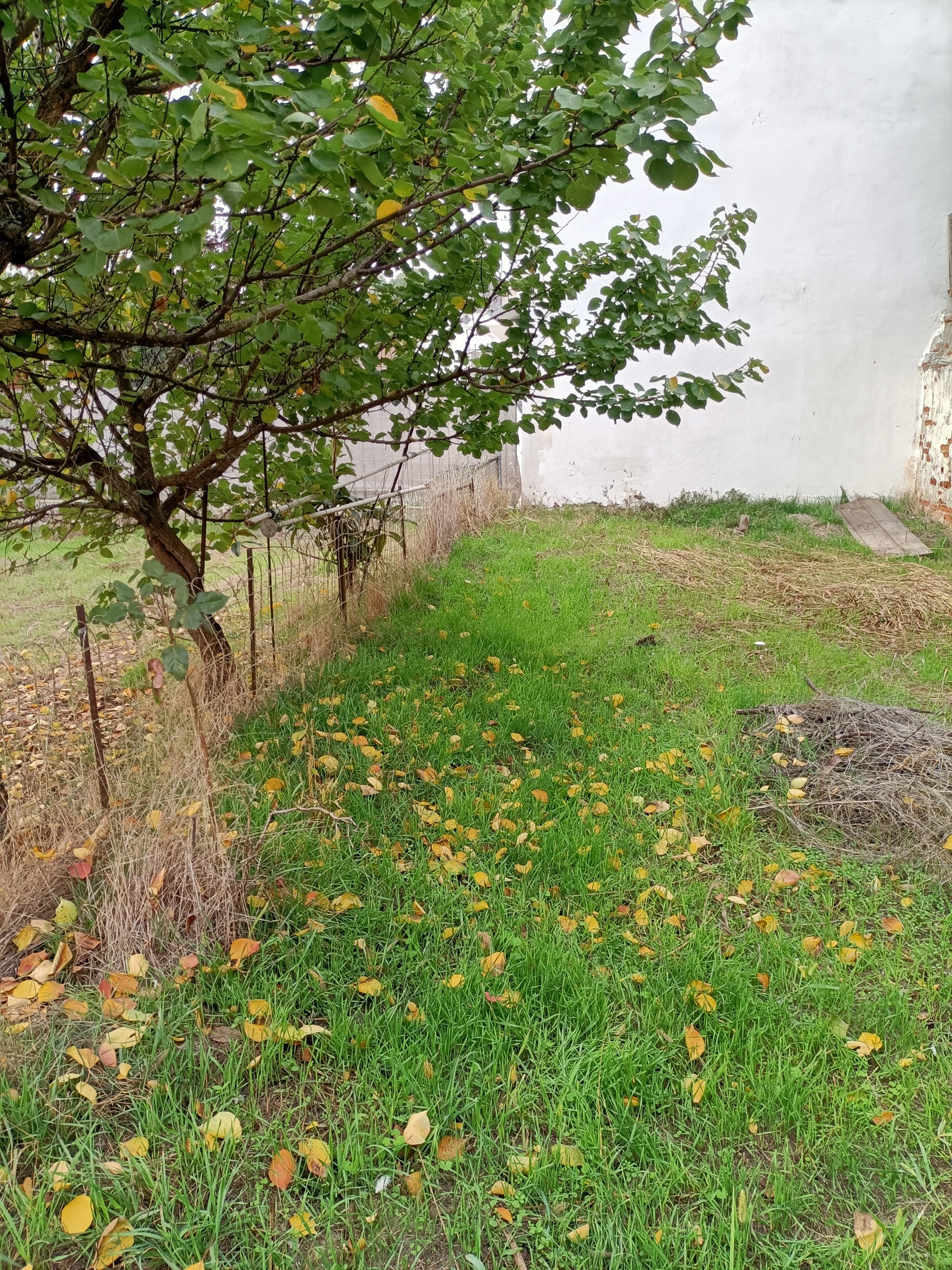 Rustico con giardino in via felice cavallotti, Pieve Porto Morone