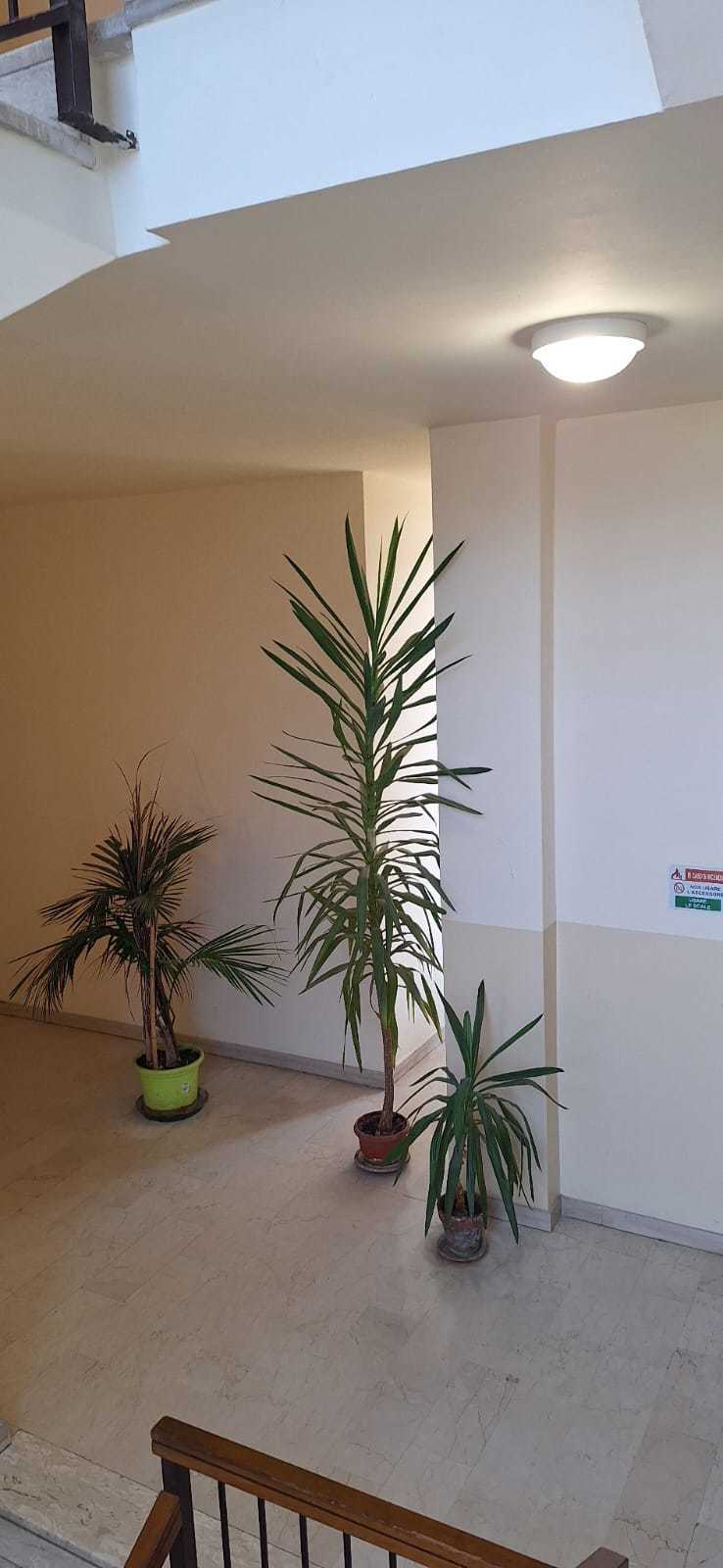 Trilocale con box in via roma, Pieve Porto Morone