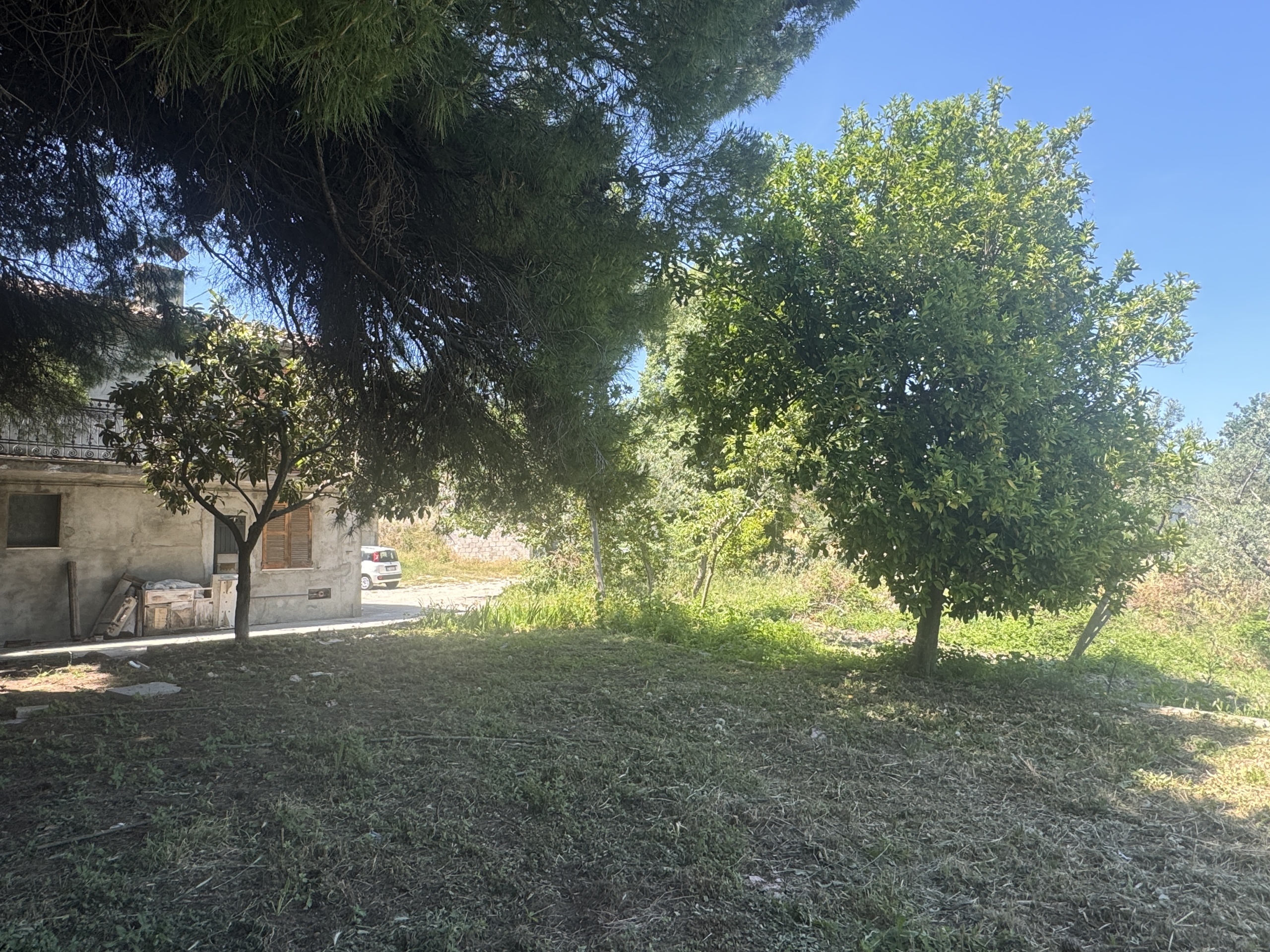 immagine annuncio 2 di 6