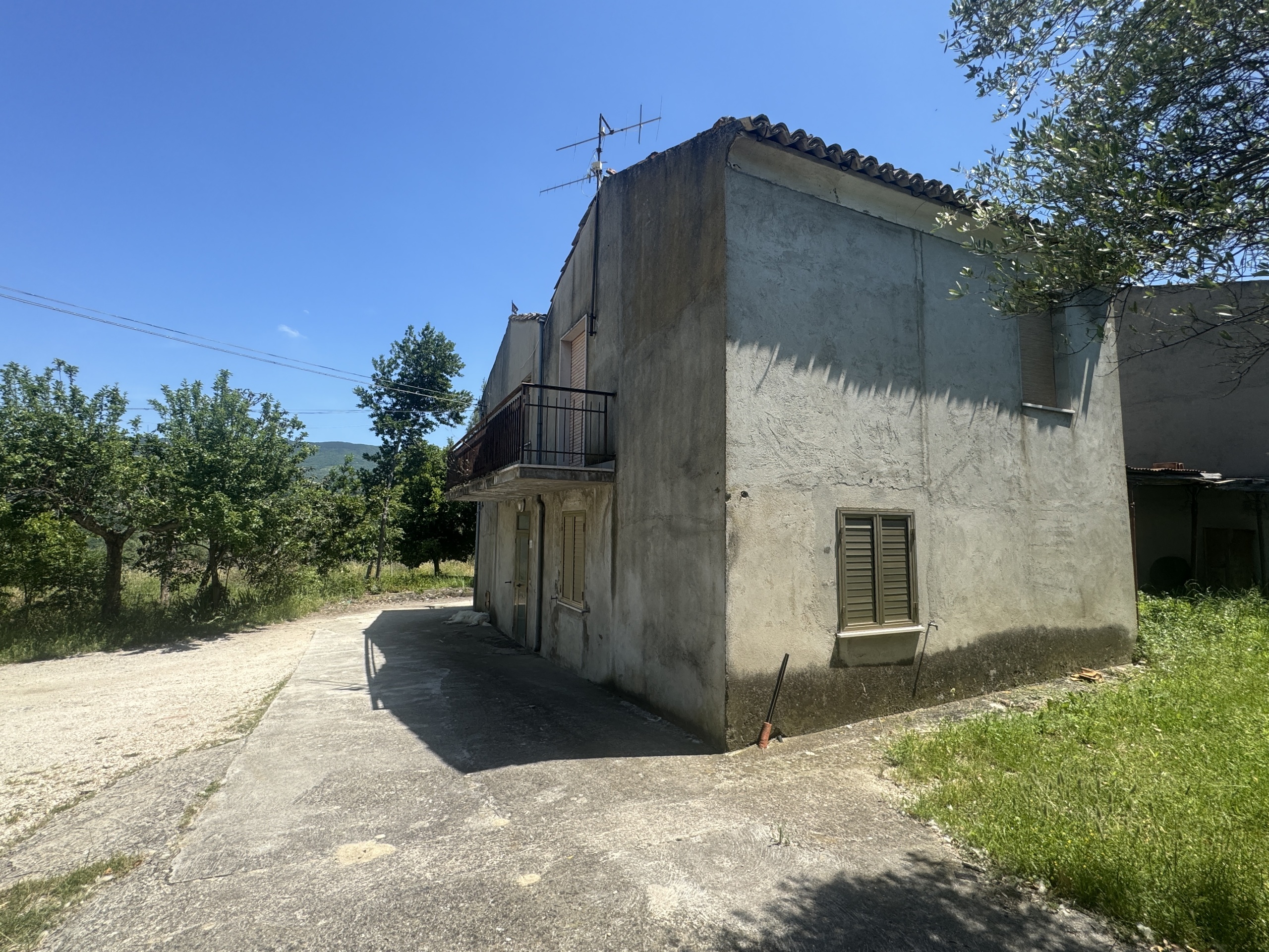 immagine annuncio 4 di 6