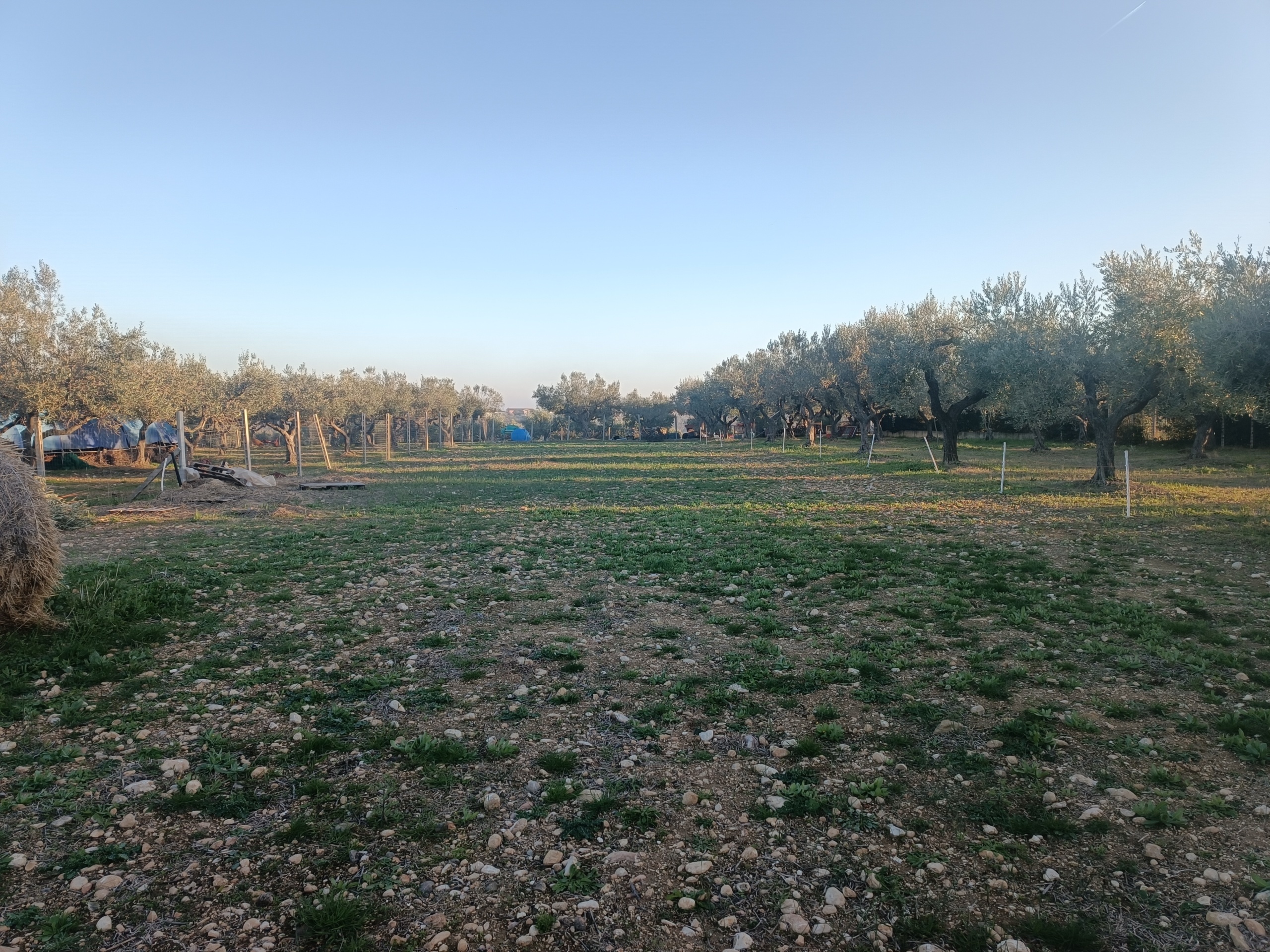 Terreno Edificabile in vendita in contrada san martino, Treglio