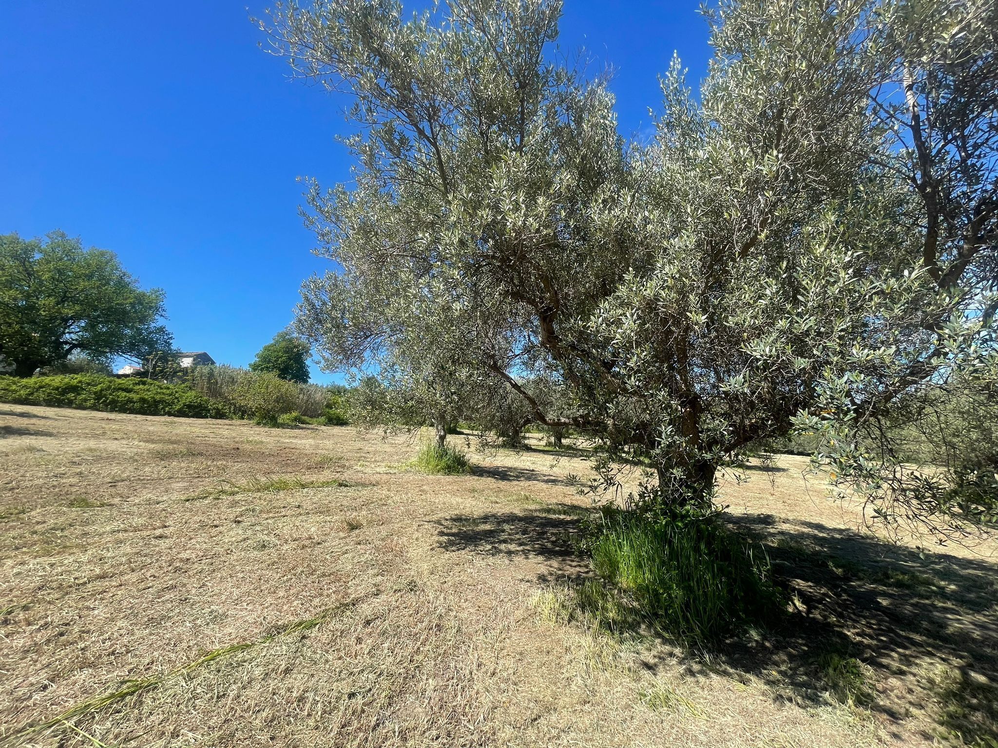 Casa indipendente da ristrutturare in contrada ranco 55, Paglieta